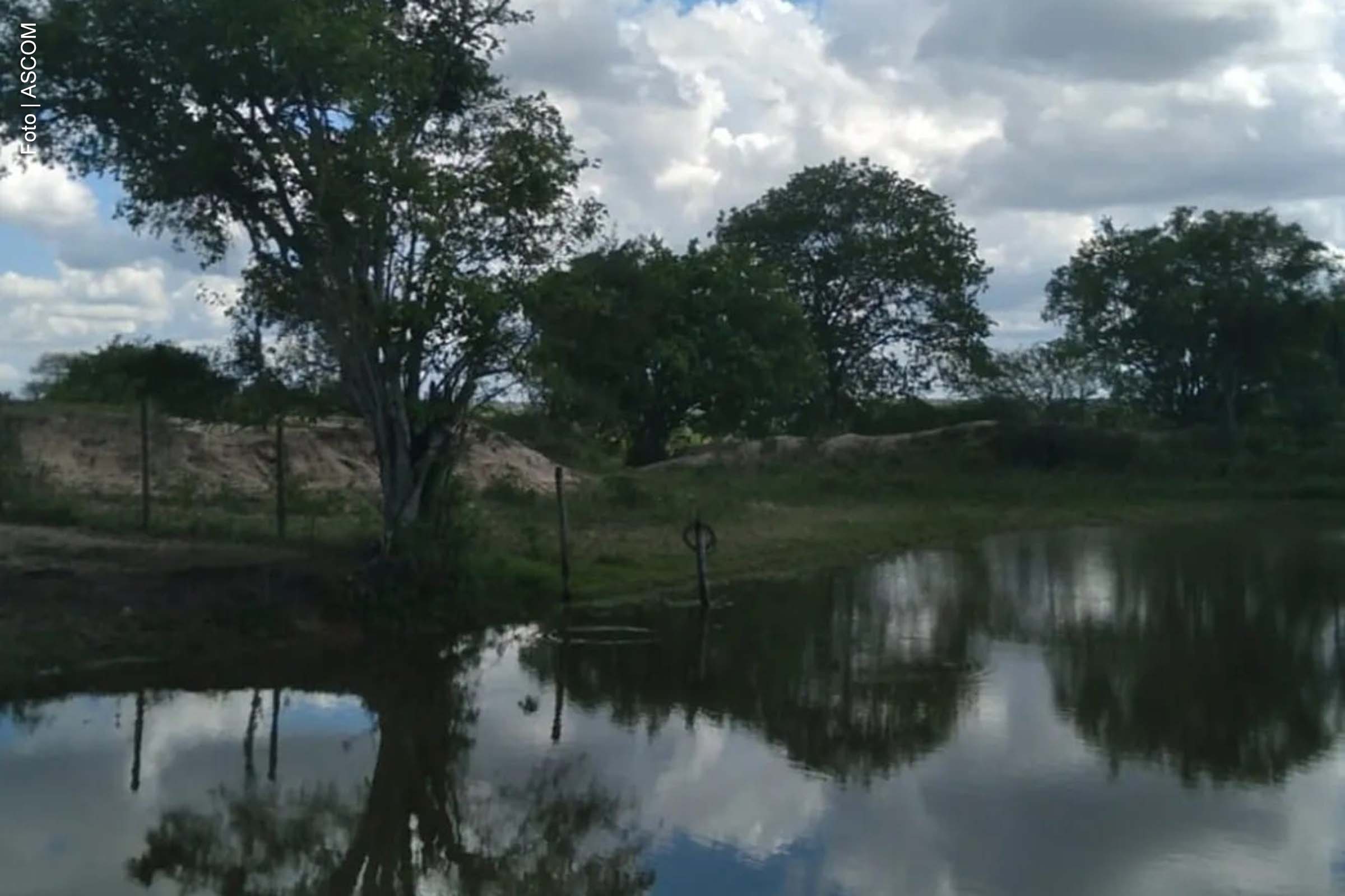 Proposta foi apresentada na Câmara Municipal na segunda-feira (21/04/2025), após registro de incêndio no local durante o fim de semana.