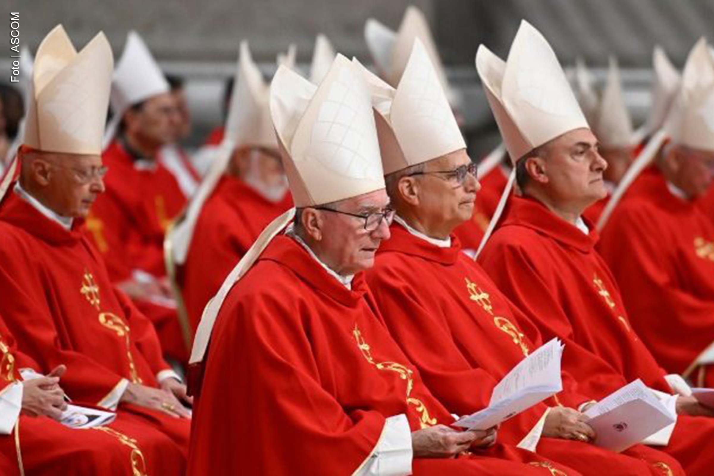 Cardeal Reina destaca a necessidade de pastores com olhar de Cristo em homilia na Missa pelos novendiais do Papa Francisco
