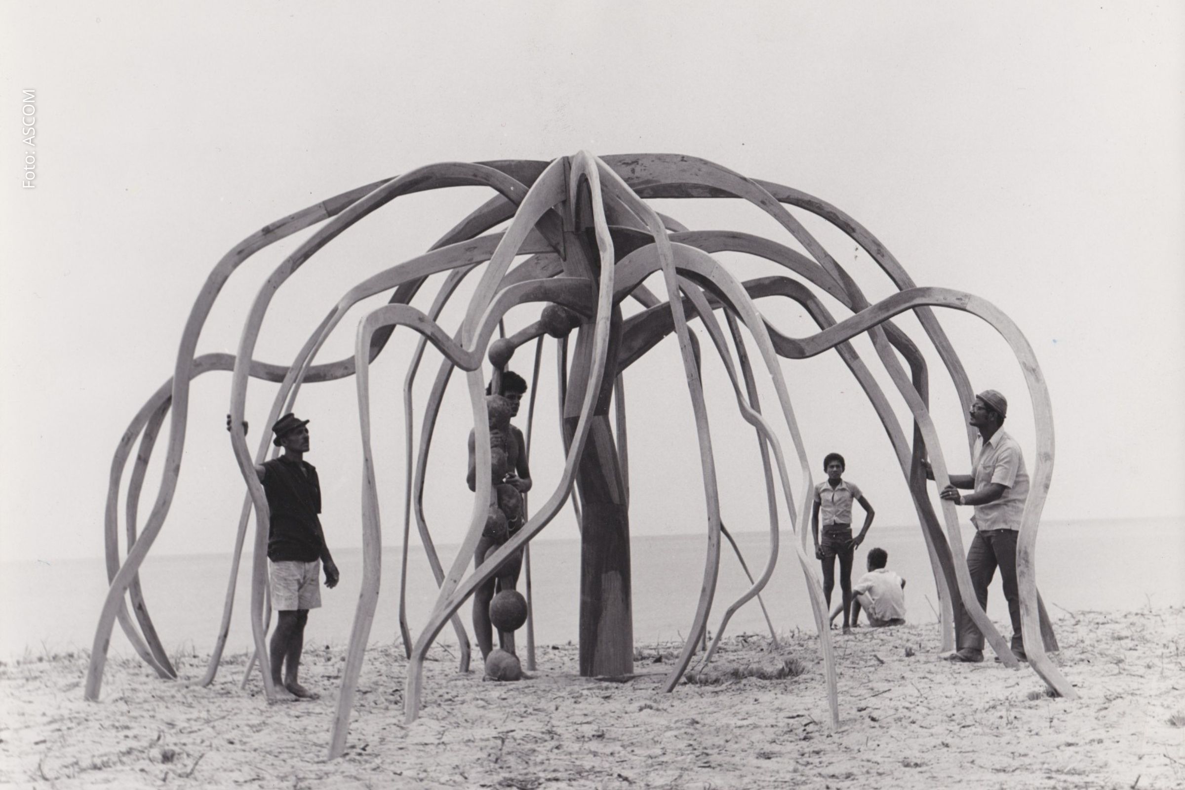 São Paulo: MASP sedia exposição monográfica ‘Frans Krajcberg: reencontrar a árvore’