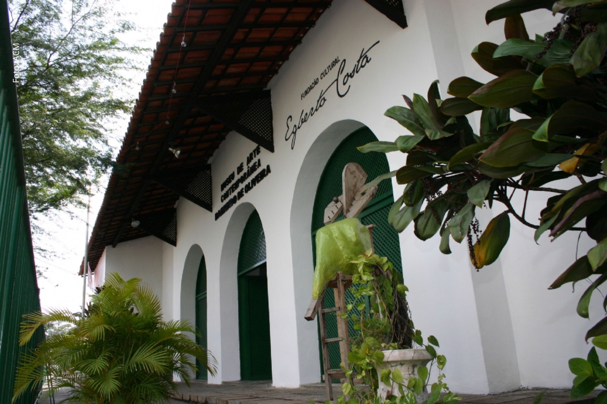 Verificação ocorre até quarta-feira (14/05/2025) no Museu de Arte Contemporânea Raimundo de Oliveira.