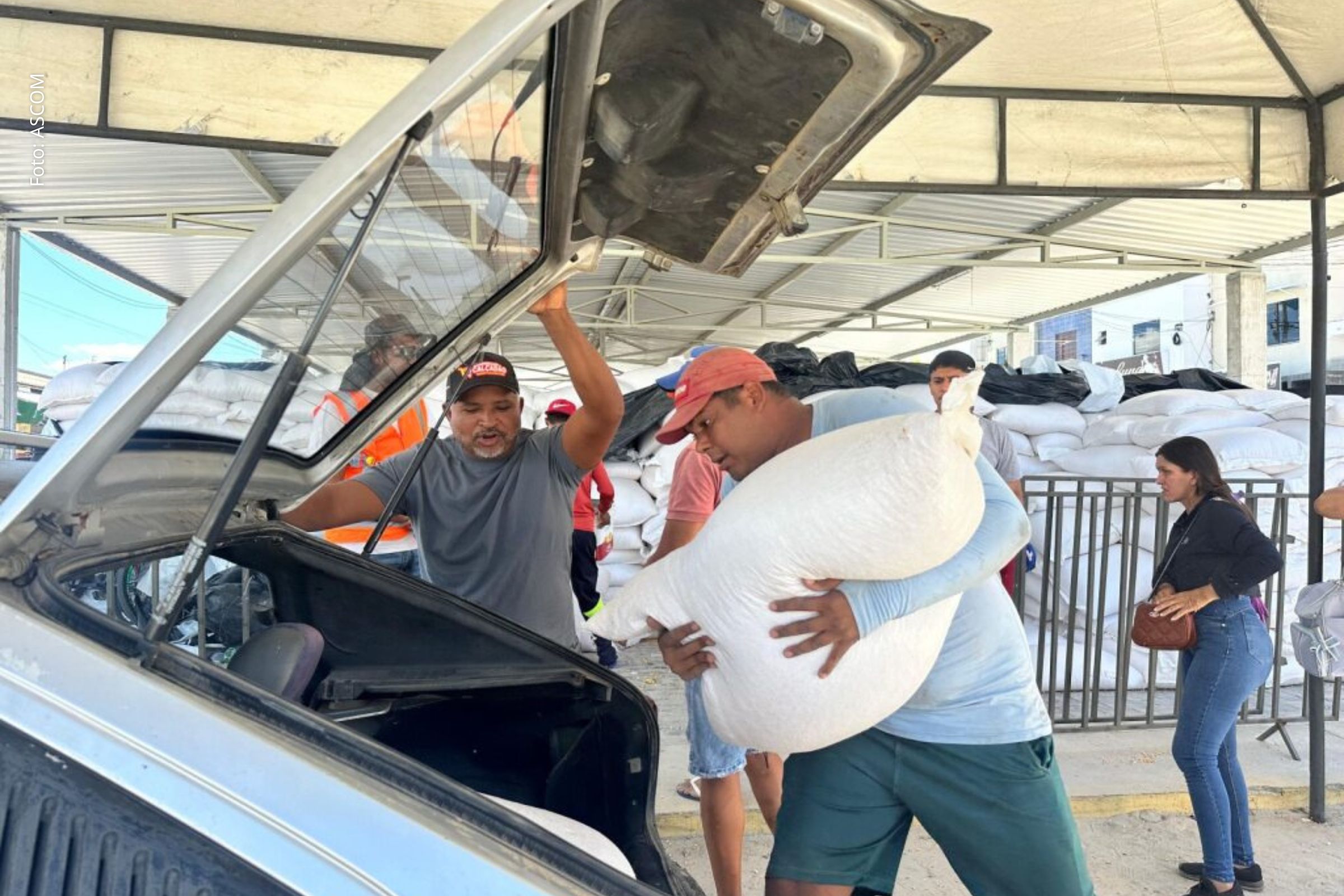 Plano Estadual de Enfrentamento à Seca avança com entrega de milho para alimentação animal em Remanso