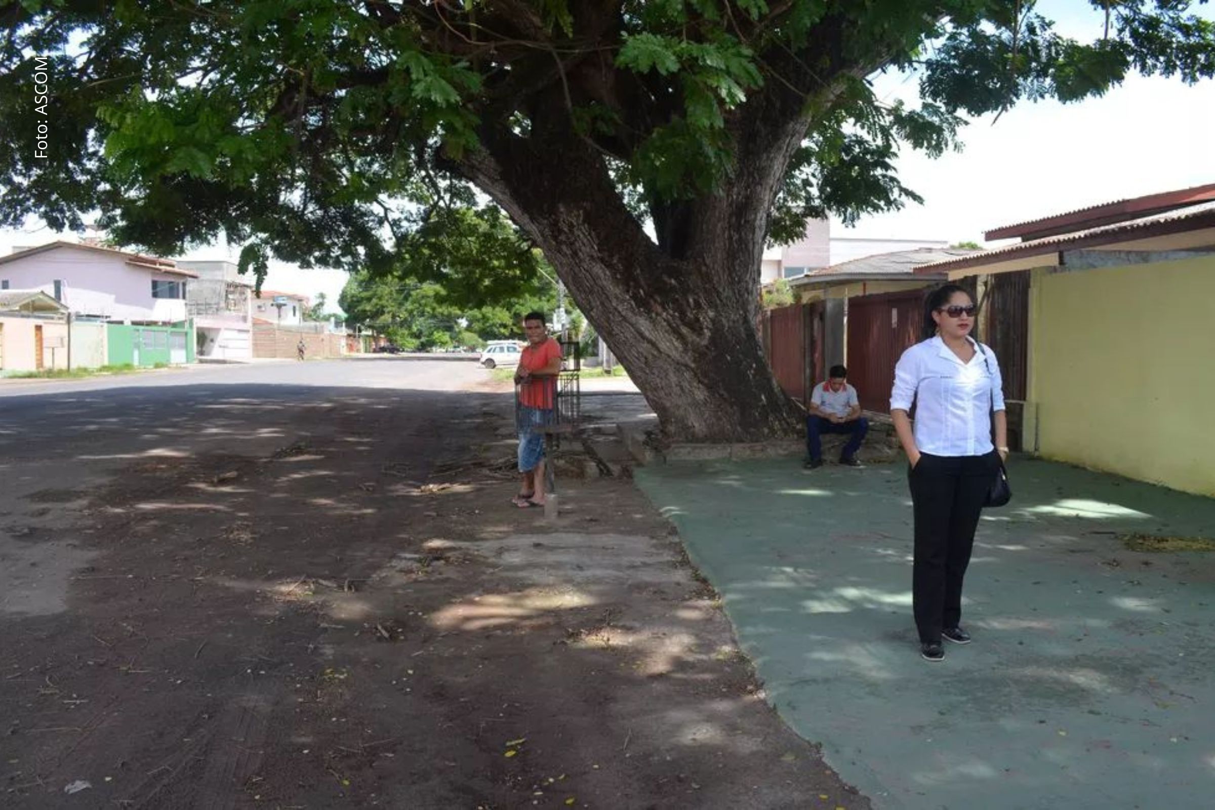 Indicação visa melhorar o conforto dos usuários do transporte público em diversos bairros e distritos.