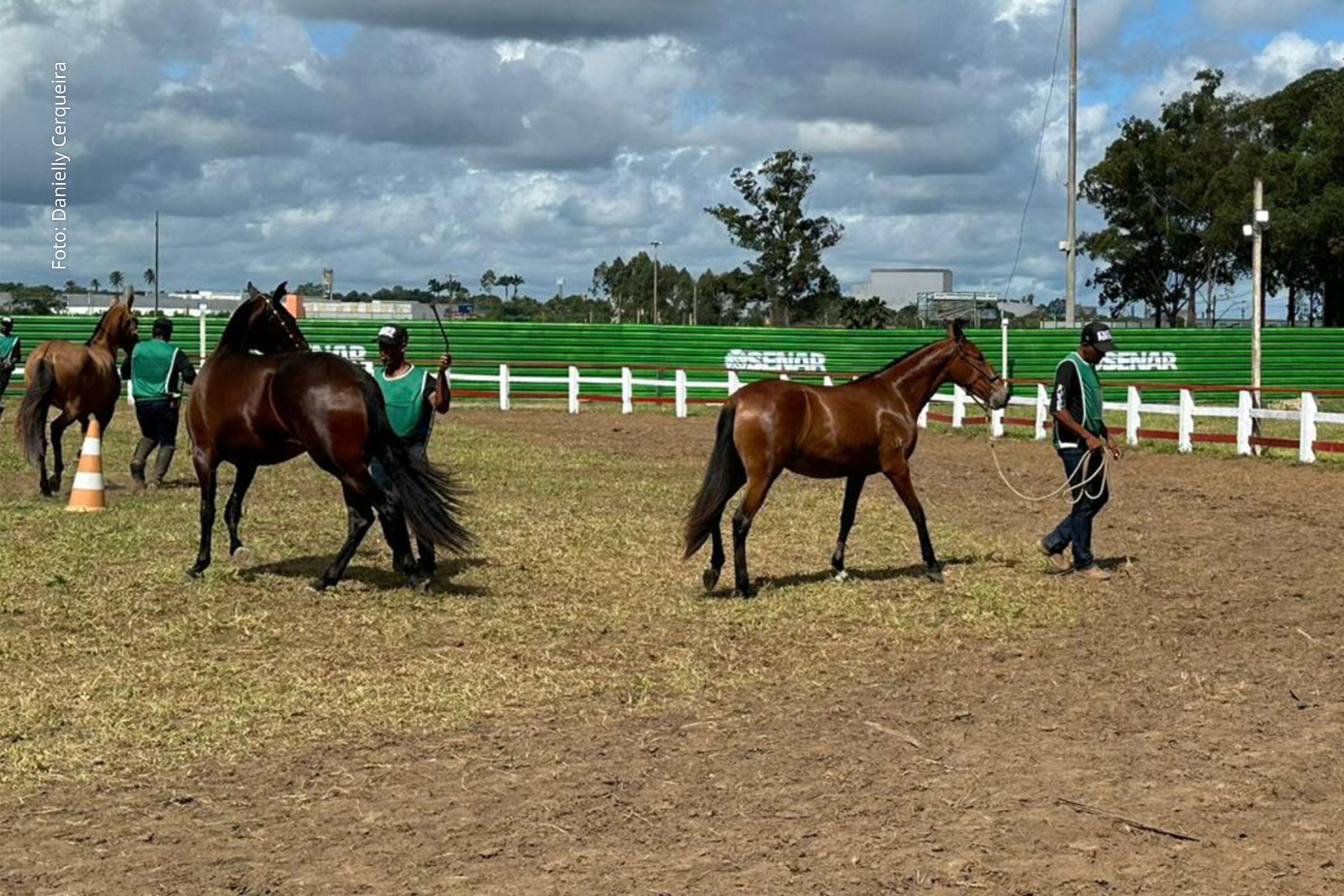 Evento será realizado de 4 a 8 de junho no Parque de Exposição João Martins da Silva.