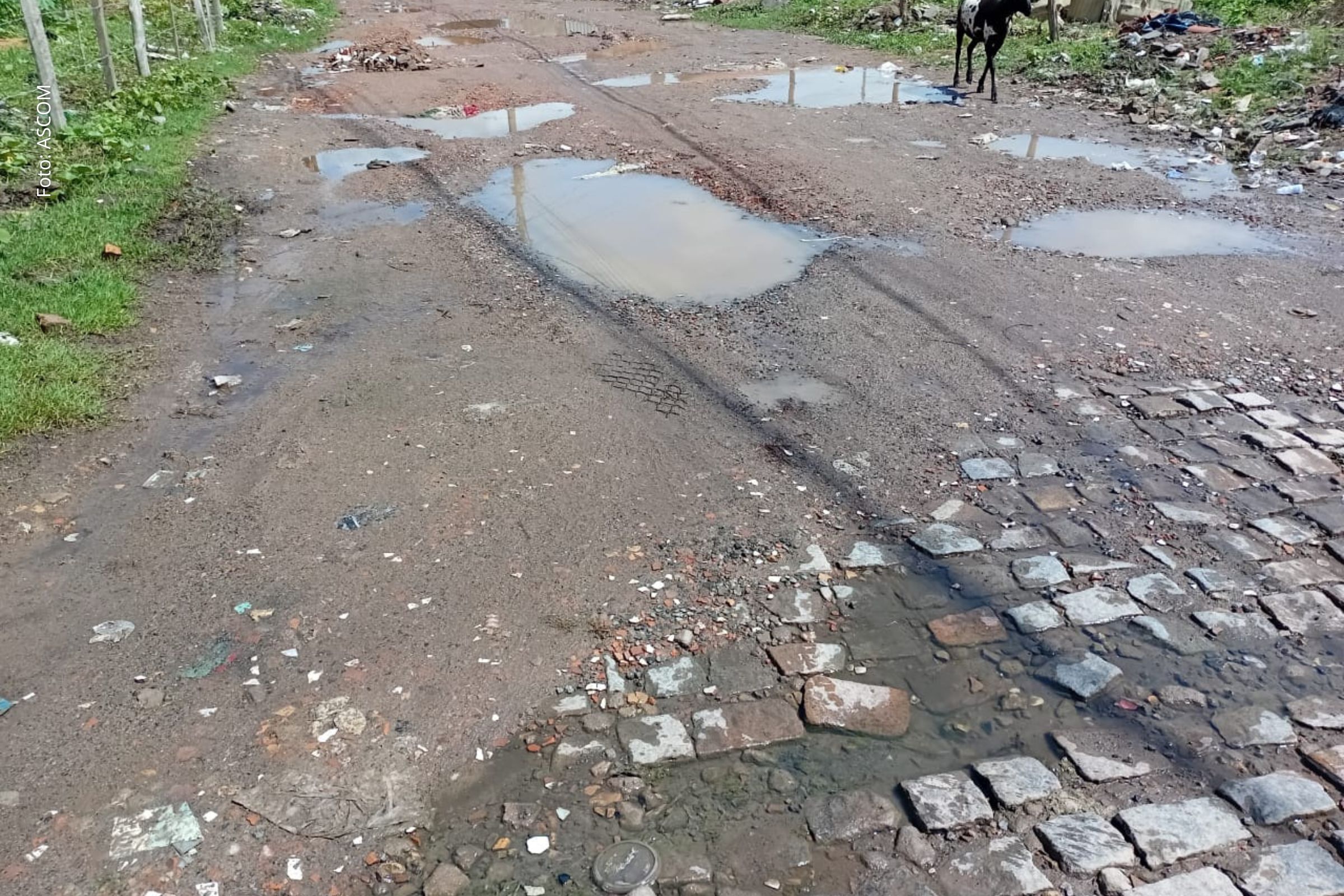 Vereadores apresentam indicações para melhorias no loteamento José Ronaldo, praça do Subaé e mobilidade urbana em Feira de Santana