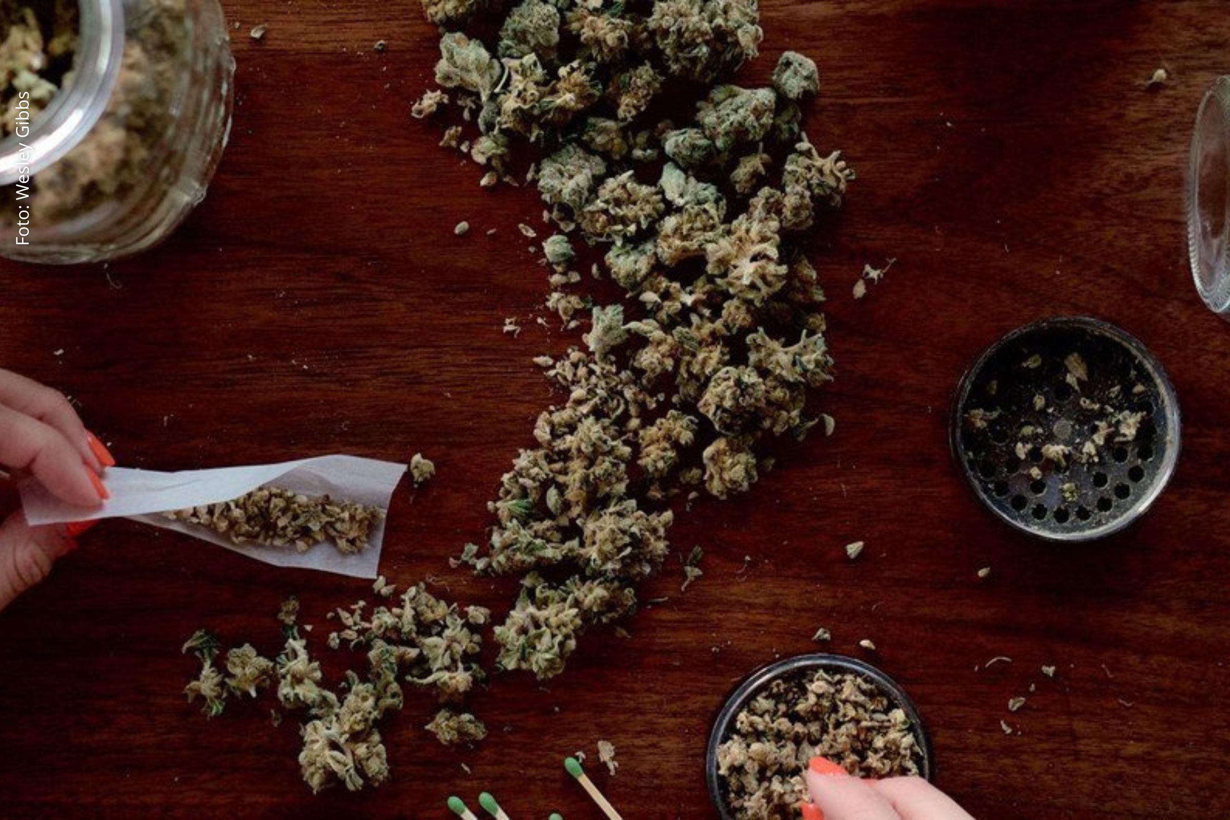 Documento destaca influência do crime organizado e alerta para impacto ambiental e social do uso e tráfico de drogas.