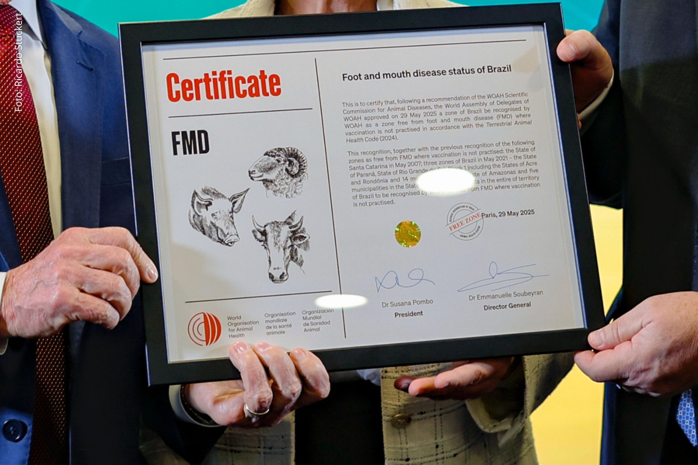 Reconhecimento foi concedido pela Organização Mundial de Saúde Animal na sexta-feira (06/06/2025), em Paris.