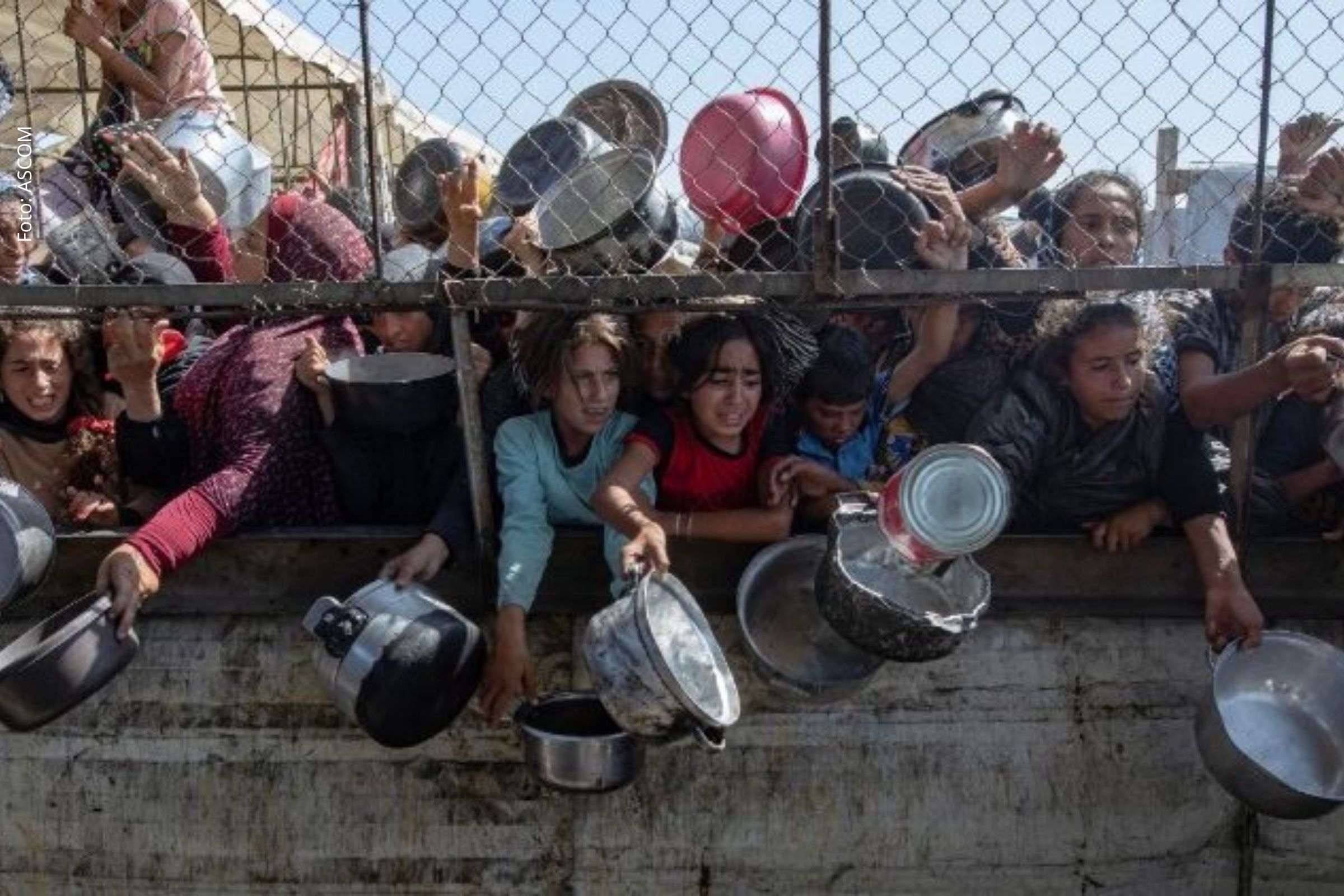 Papa Leão XIV pede ações concretas contra a fome e critica uso da escassez alimentar como arma de guerra