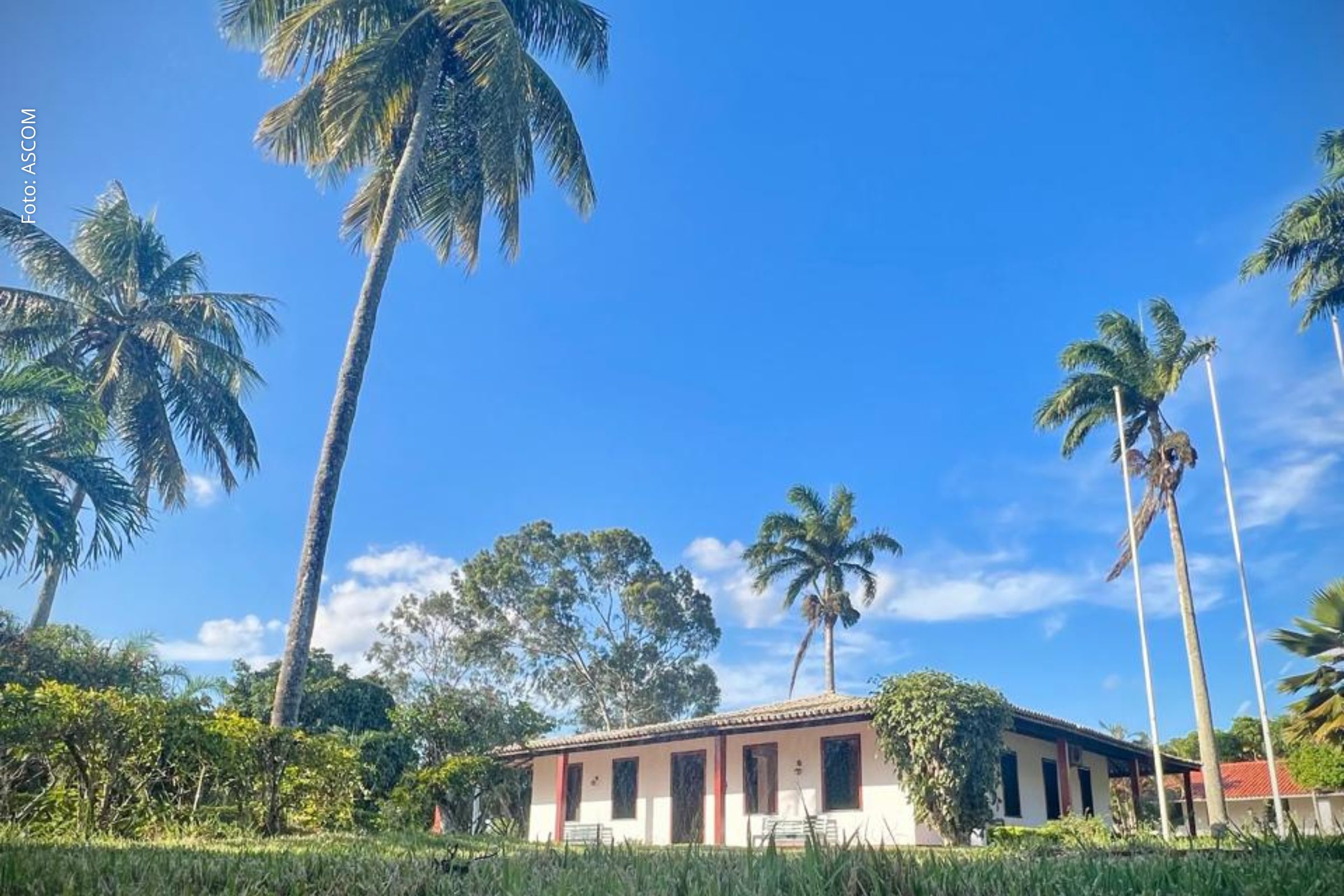 Iniciativa une teatro e memória para promover reflexão sobre identidade e história social no Recôncavo Baiano.