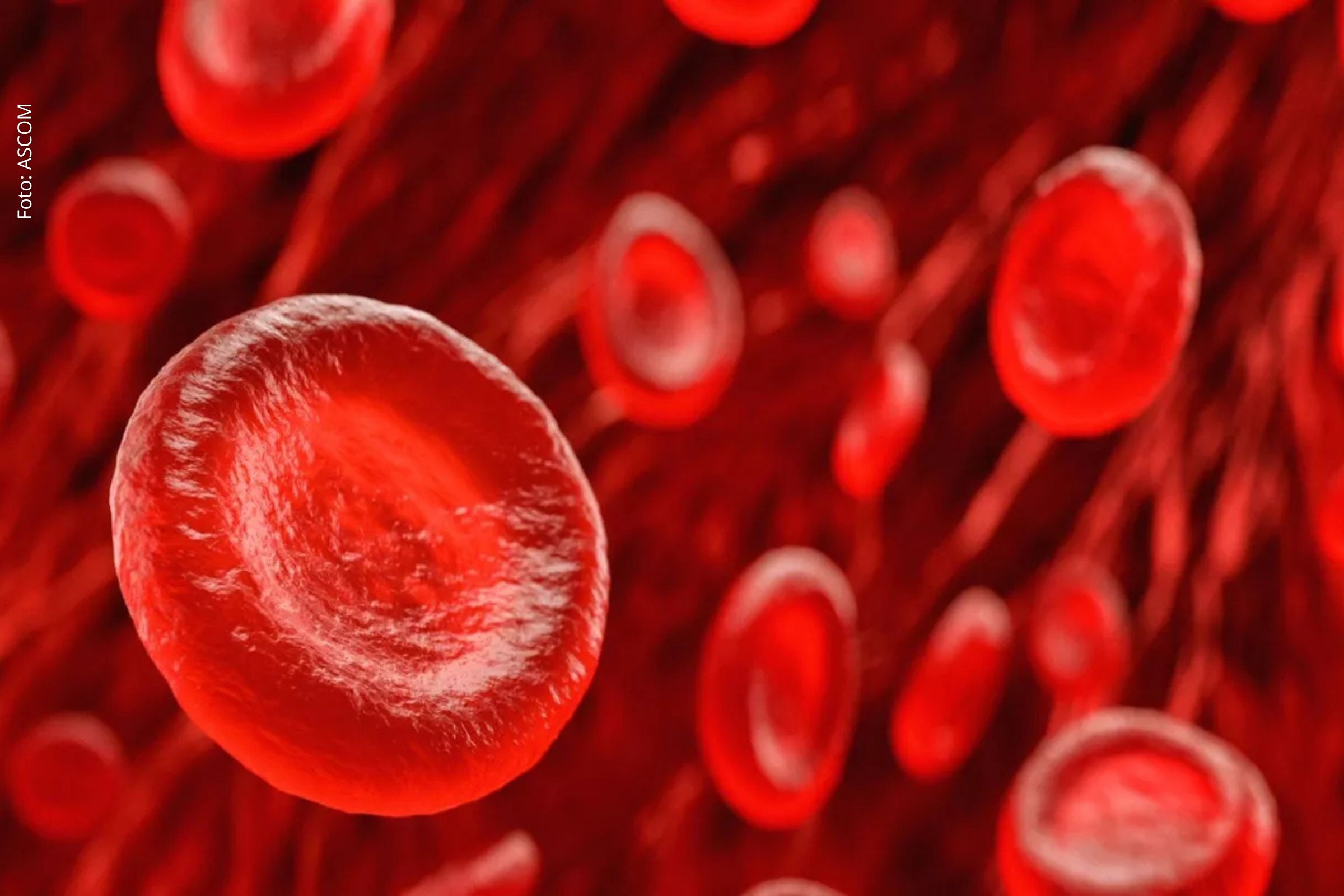 “Gwada negativo”: Cientistas franceses identificam novo tipo sanguíneo