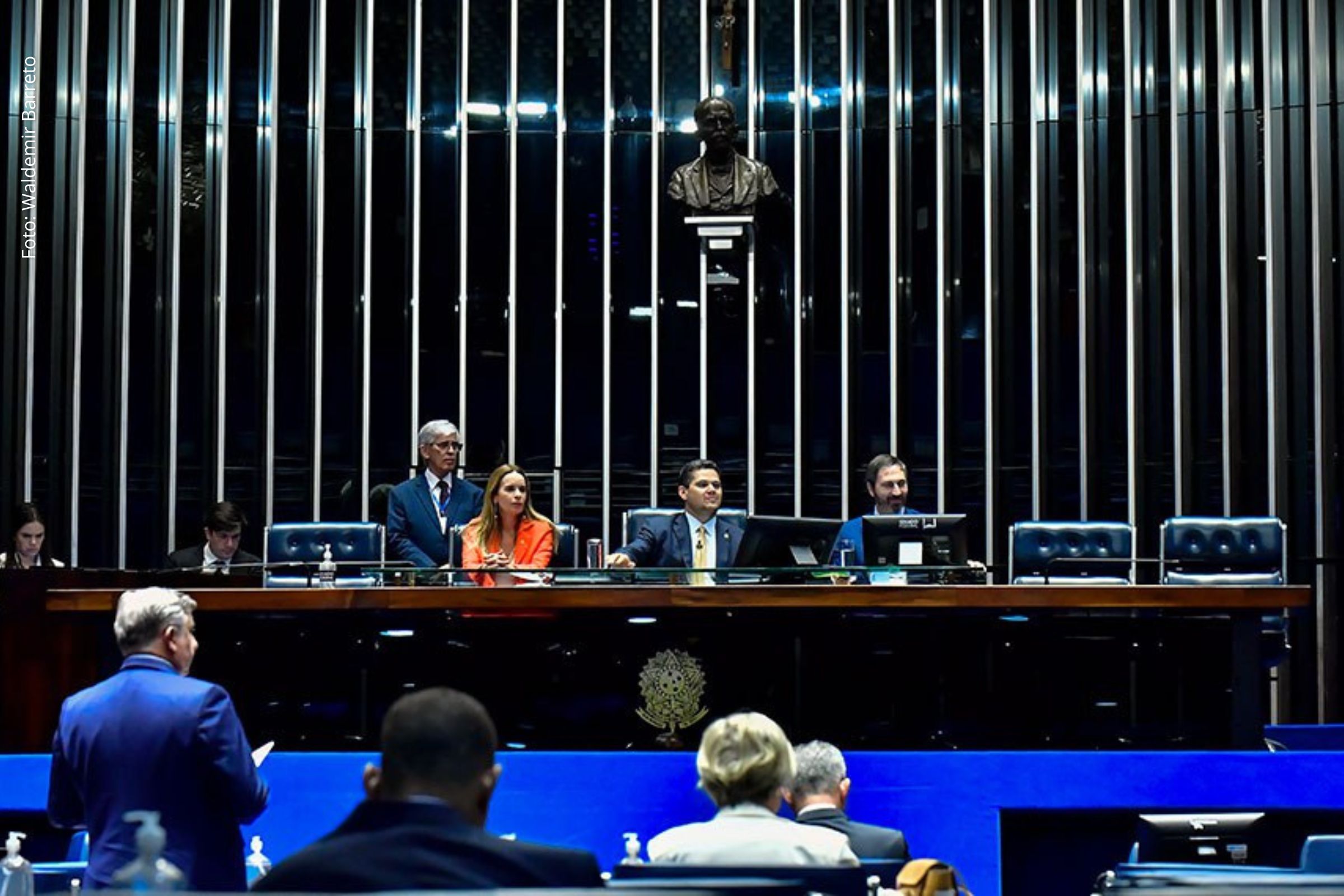 Texto segue para análise da Câmara dos Deputados e define parâmetros de composição e rotulagem.