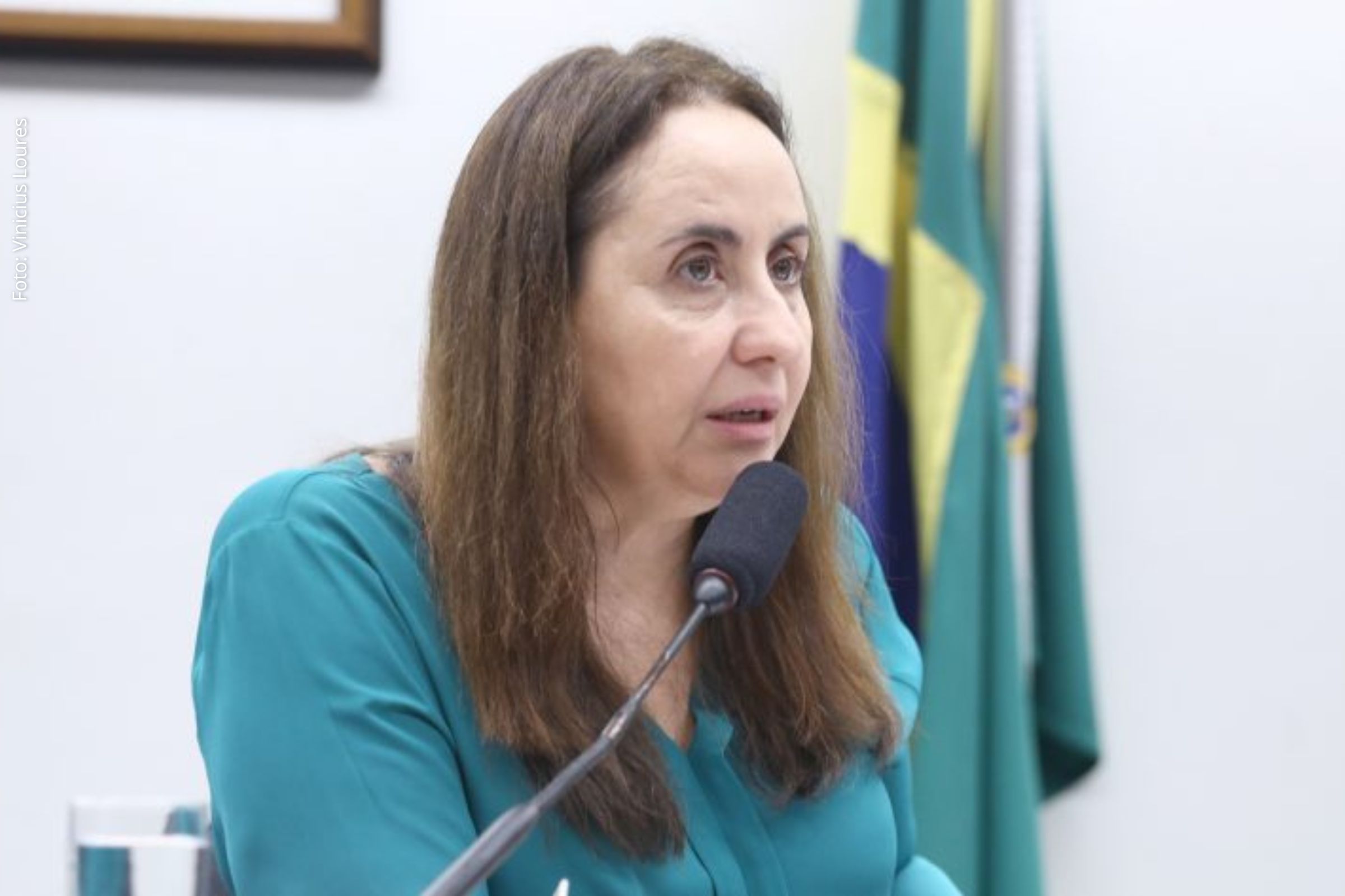 Parlamentares e representantes de entidades educacionais discutem proposta que unifica políticas de União, estados e municípios.