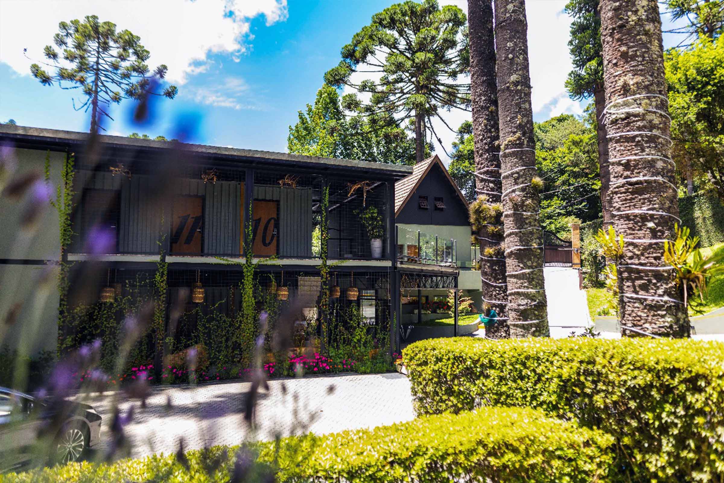 Campos do Jordão atrai visitantes com Festival de Inverno e experiências exclusivas de hospedagem