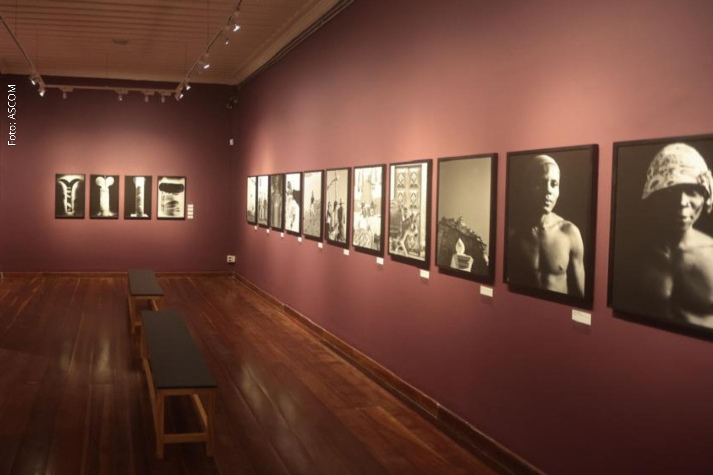 Atividades gratuitas ocorrem nos dois primeiros sábados de agosto para ampliar o acesso à mostra.