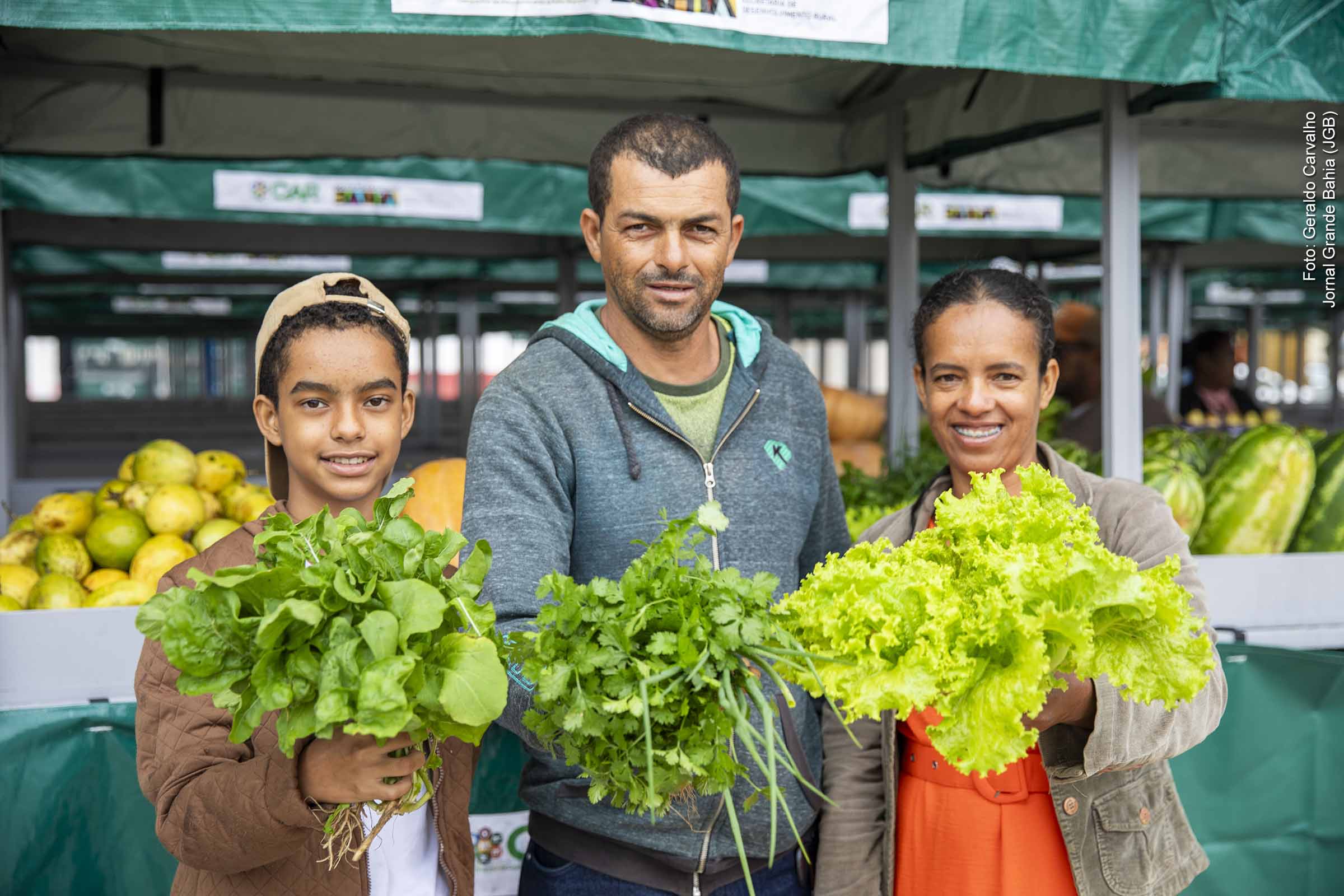Governos Lula e Jerônimo agendam lançamento do Plano Safra 2025/2026 com foco em agroindústrias familiares da Bahia