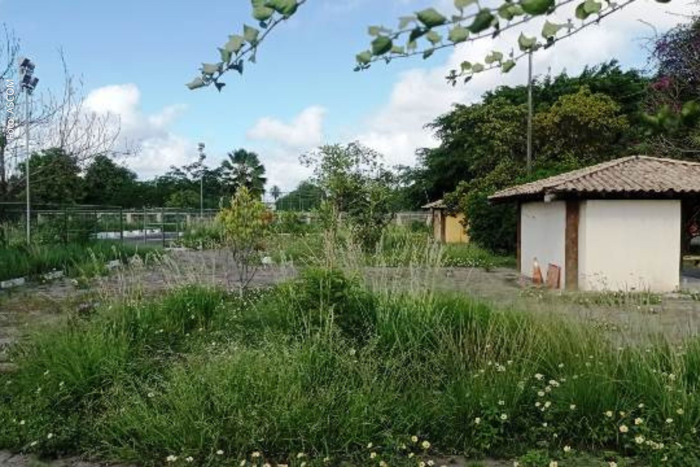 Vereadores Marcos Lima e Lulinha da Gente apresentam indicações para melhorias nos bairros Matinha, Aviário, Feira VI e Campo Limpo.
