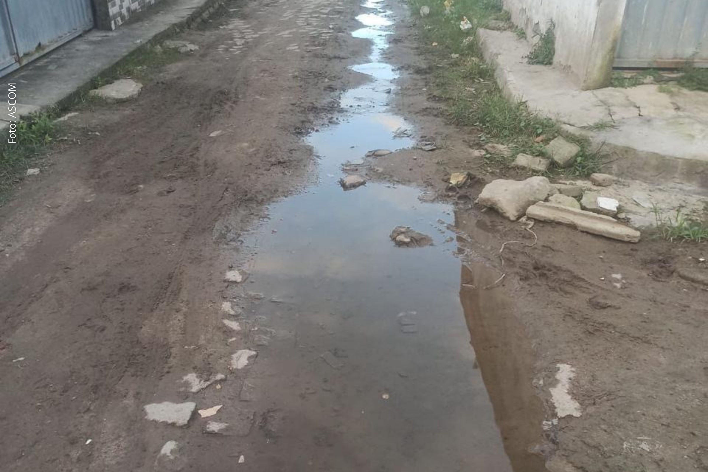 Moradores cobram obras de saneamento e limpeza em bairros de Feira de Santana, dizem vereadores