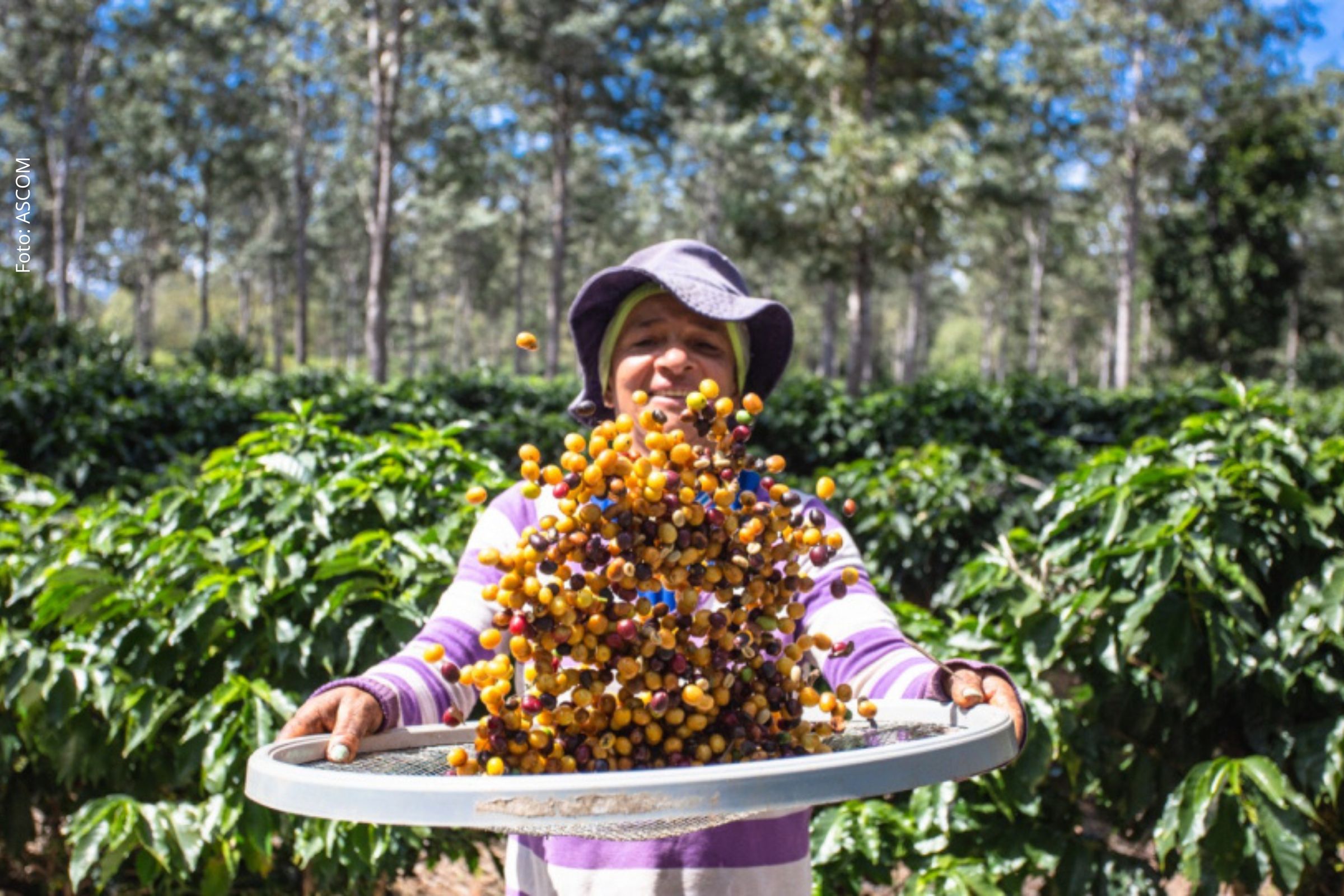 Diagnóstico em Barra do Choça marca etapa inicial para fortalecer turismo rural em seis municípios da região.