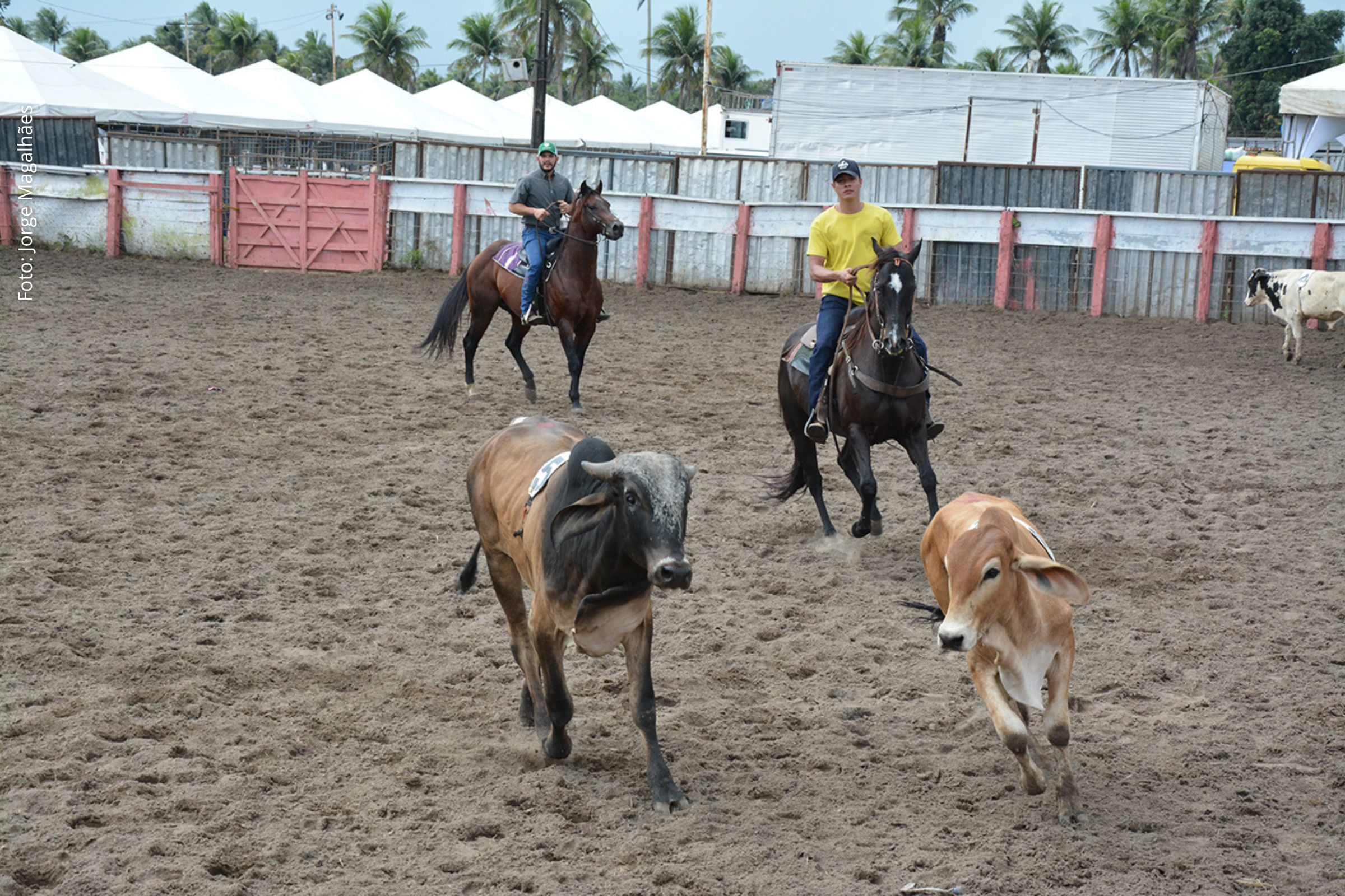 Competição equestre integra a programação oficial do evento agropecuário em Feira de Santana.