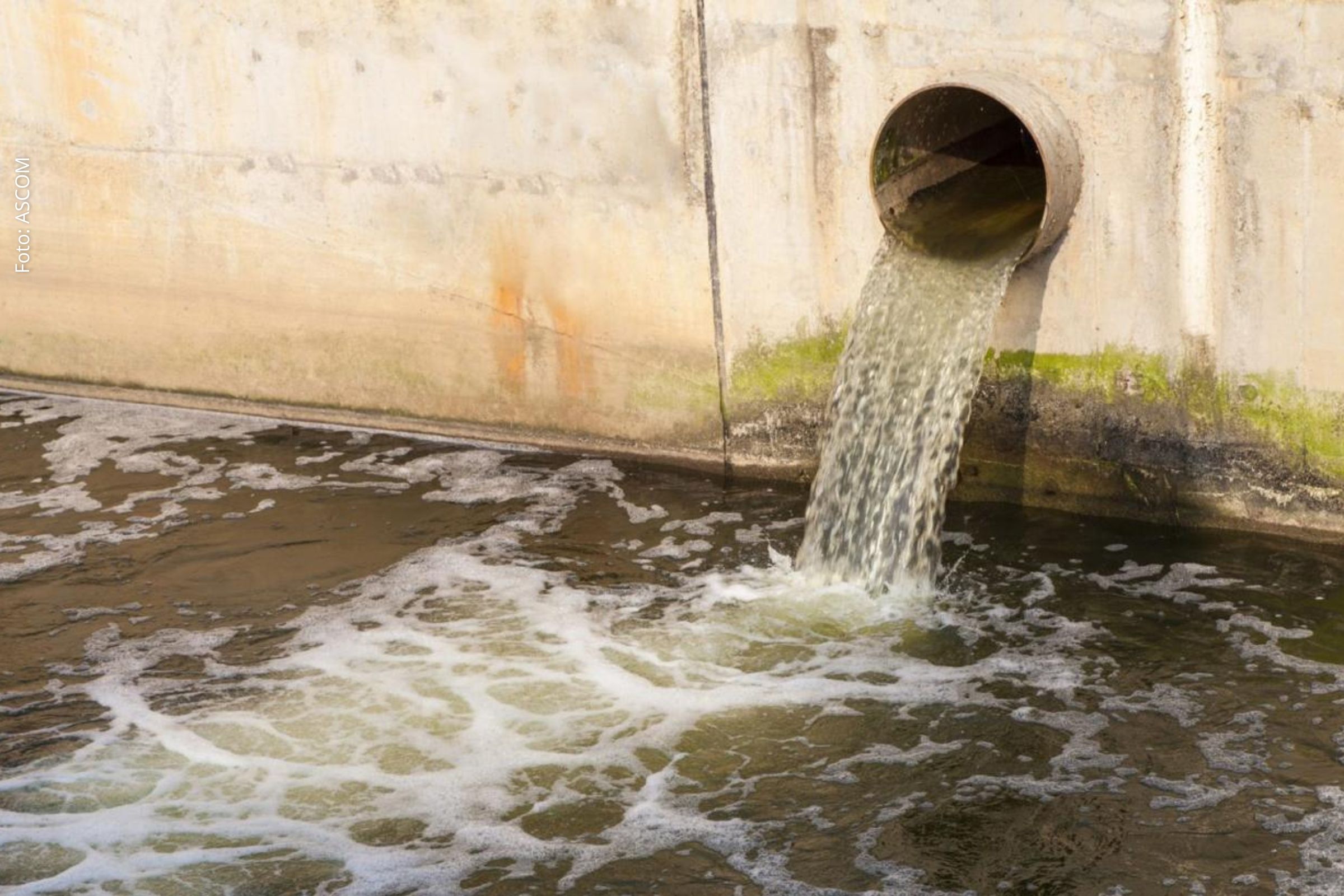 Vereadores solicitam obras de saneamento, limpeza urbana e drenagem em bairros de Feira de Santana