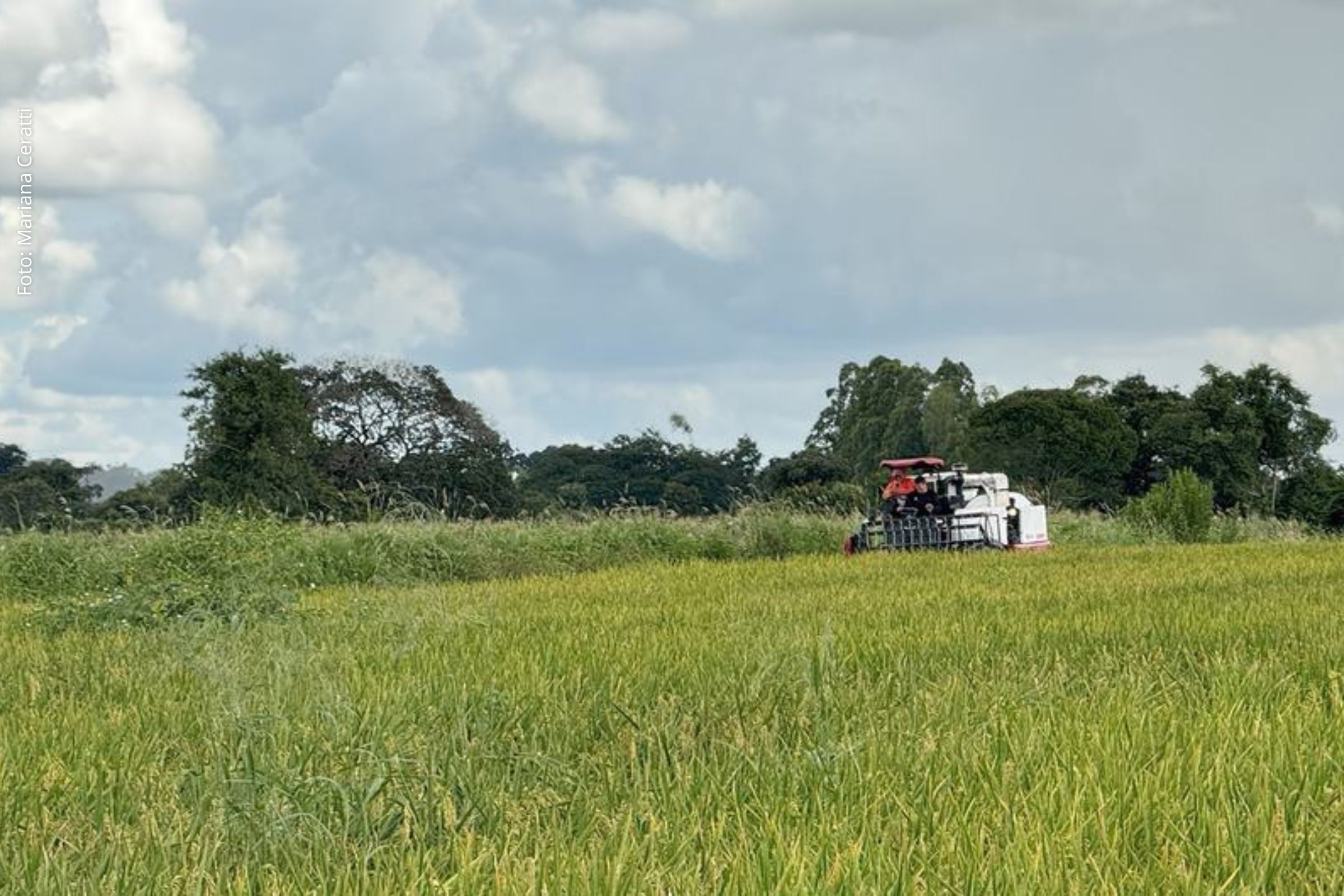 Relatório recomenda medidas que podem melhorar o equilíbrio fiscal em mais de 5% do PIB e ampliar investimentos ambientais.