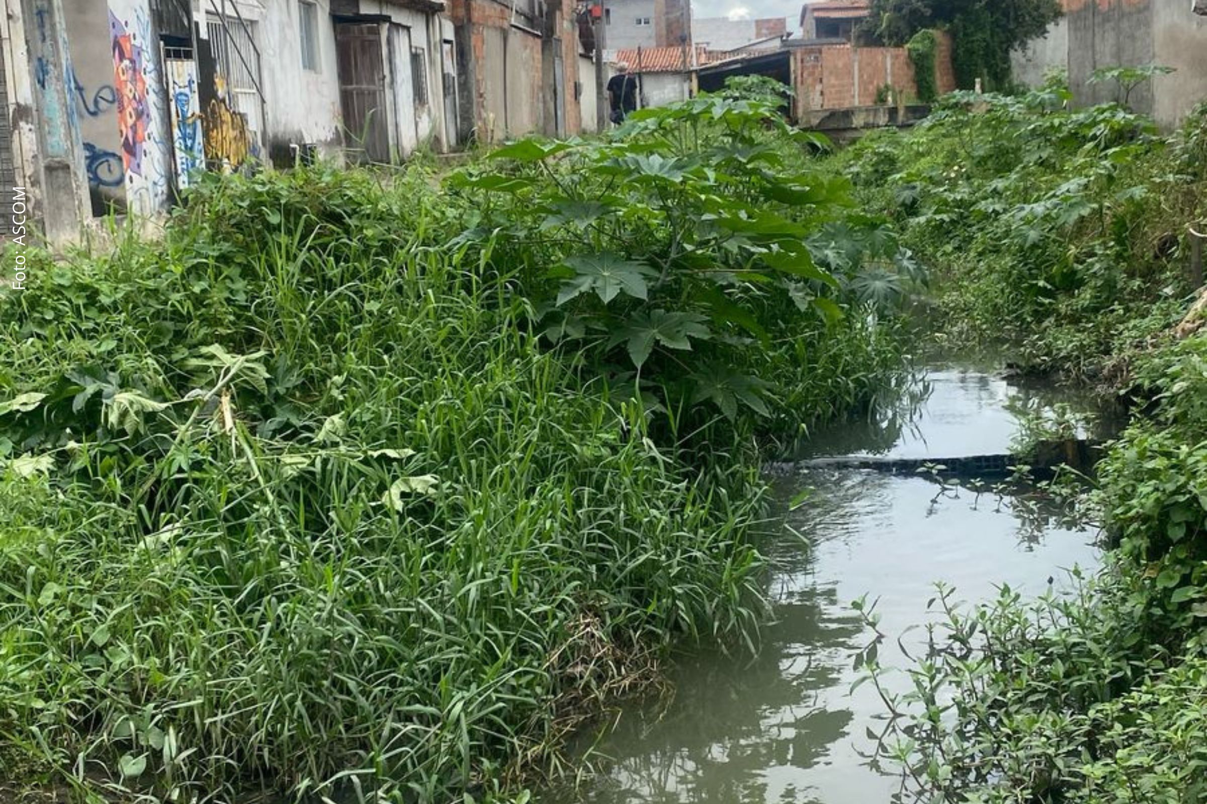 Indicações incluem pavimentação na Cidade Nova, revitalização de canal no Feira V e melhorias em trechos de Maria Quitéria.