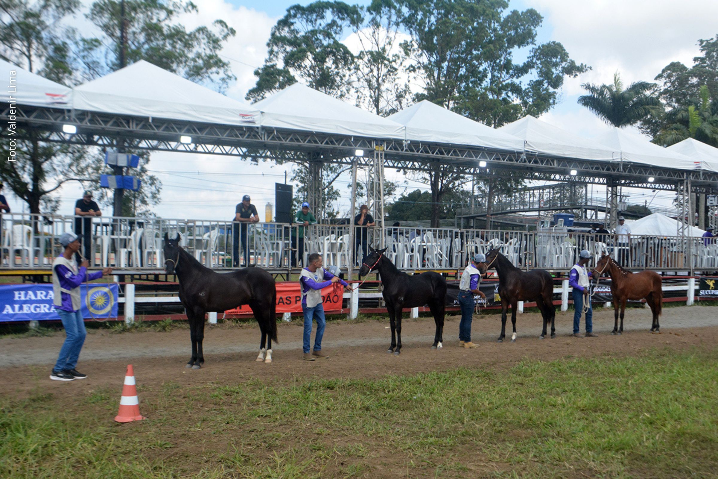 Evento ocorrerá de 7 a 14 de setembro com leilões e venda de animais para cria, recria e engorda.