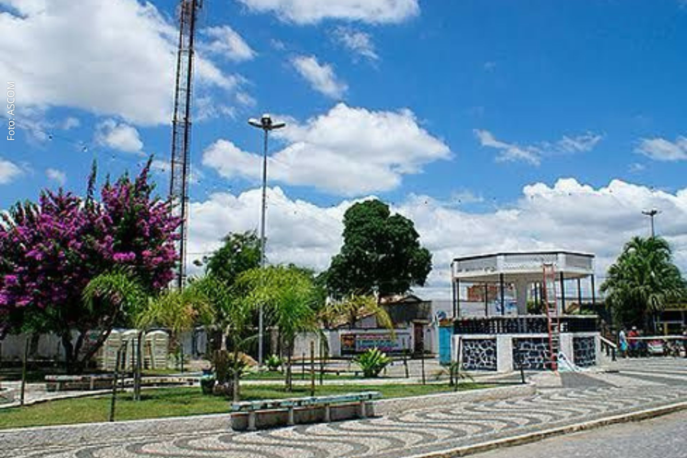 Evento acontece na sexta-feira (08/08/2025), na Câmara de Vereadores, com participação de especialistas e gestores da área.