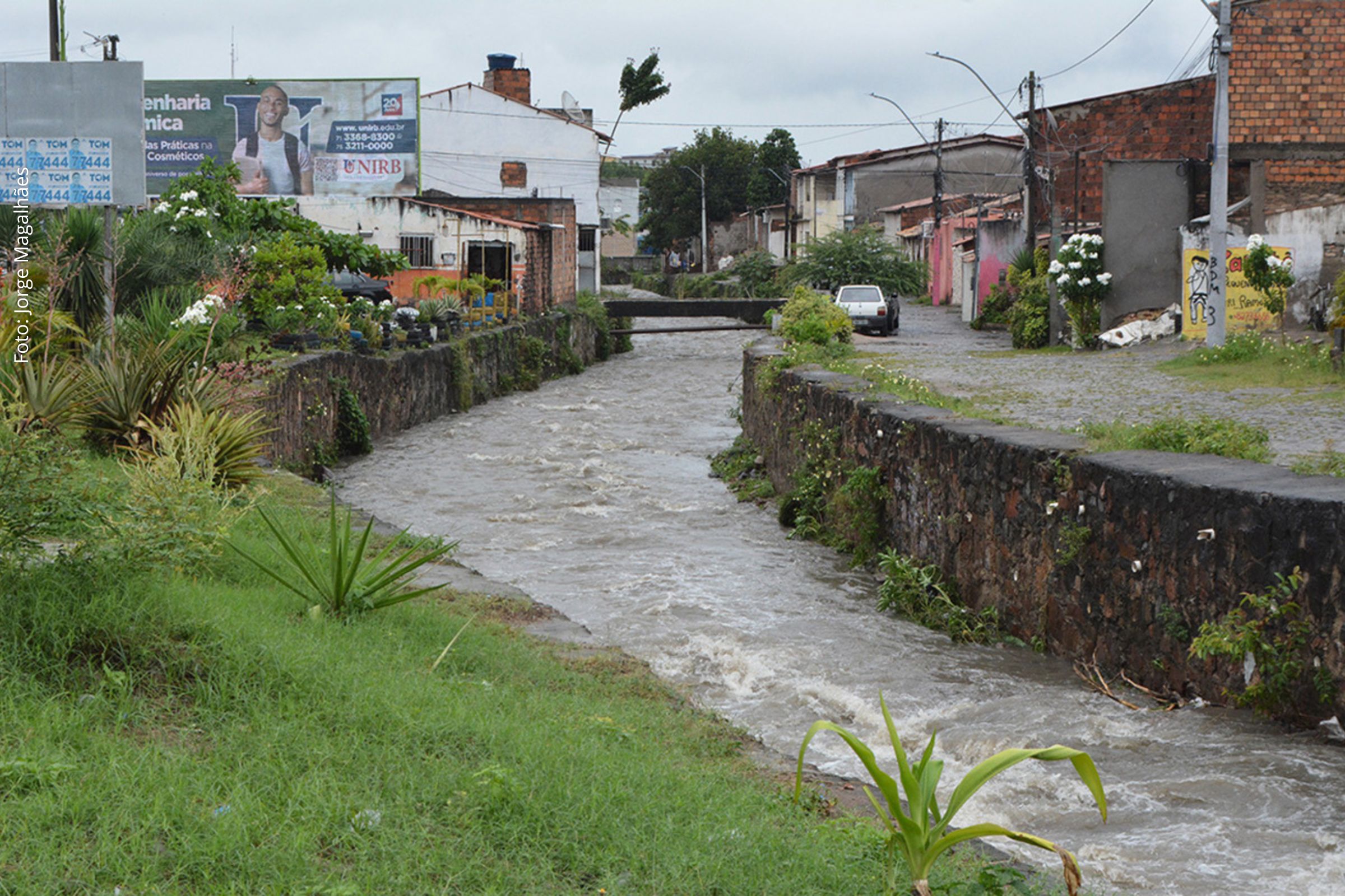 Secretaria Municipal de Saúde alerta para medidas preventivas e sintomas da doença transmitida pela urina de roedores.