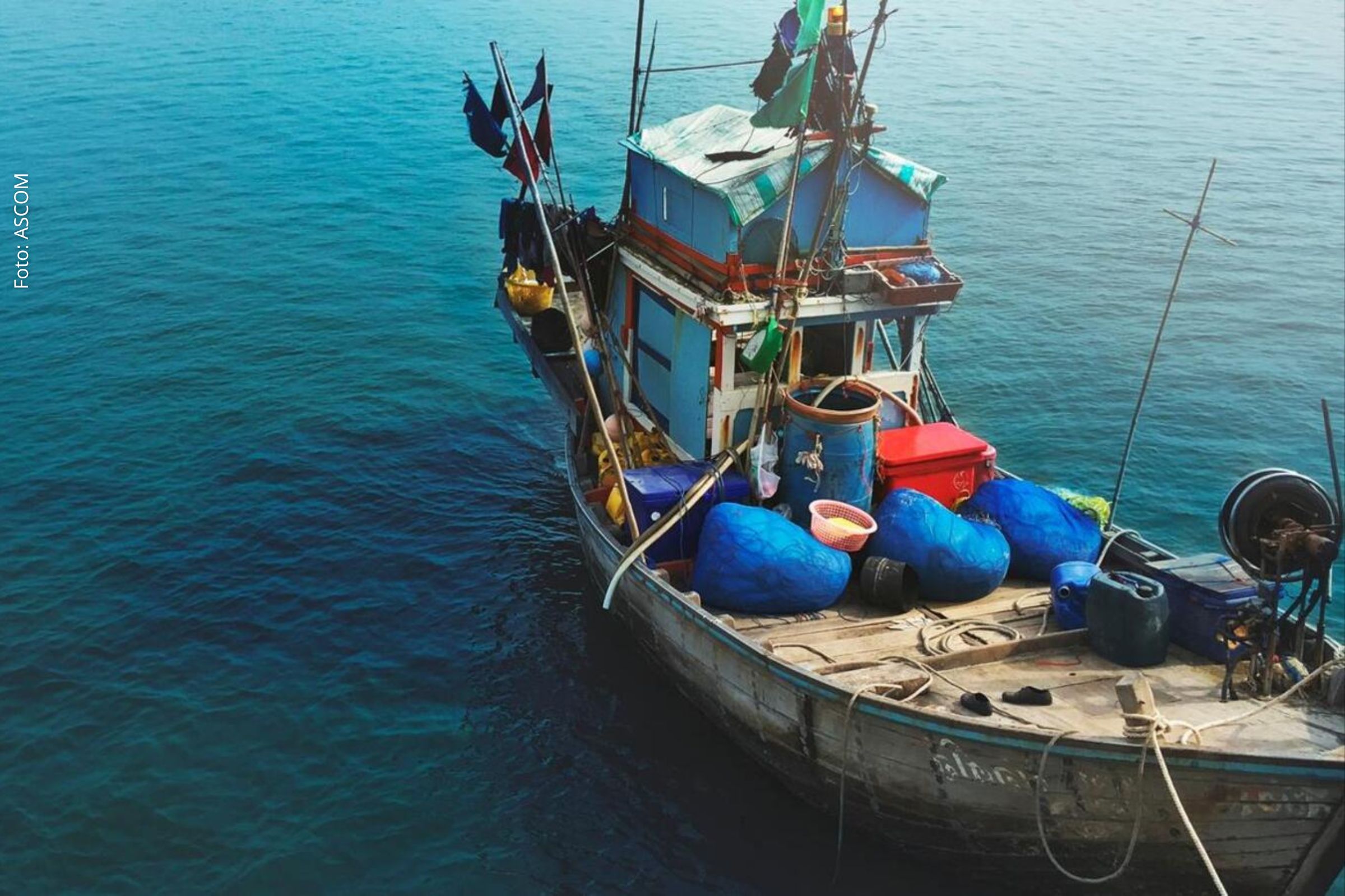 Relatório da Oceana indica ausência de diagnósticos para quase metade dos estoques pesqueiros do país.