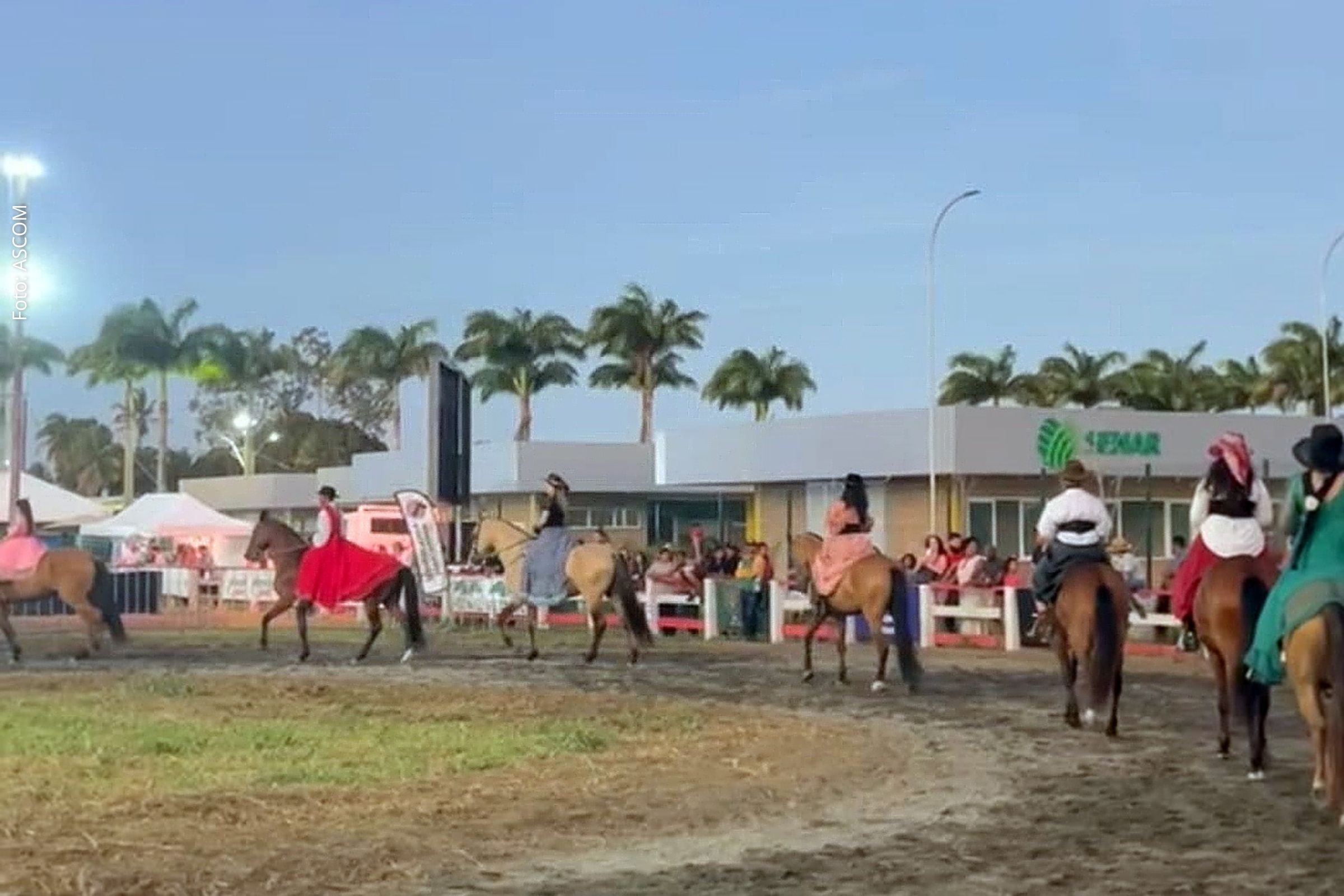Amazonas apresentam tradição histórica do cavalo campolina em trajes do século XIX.