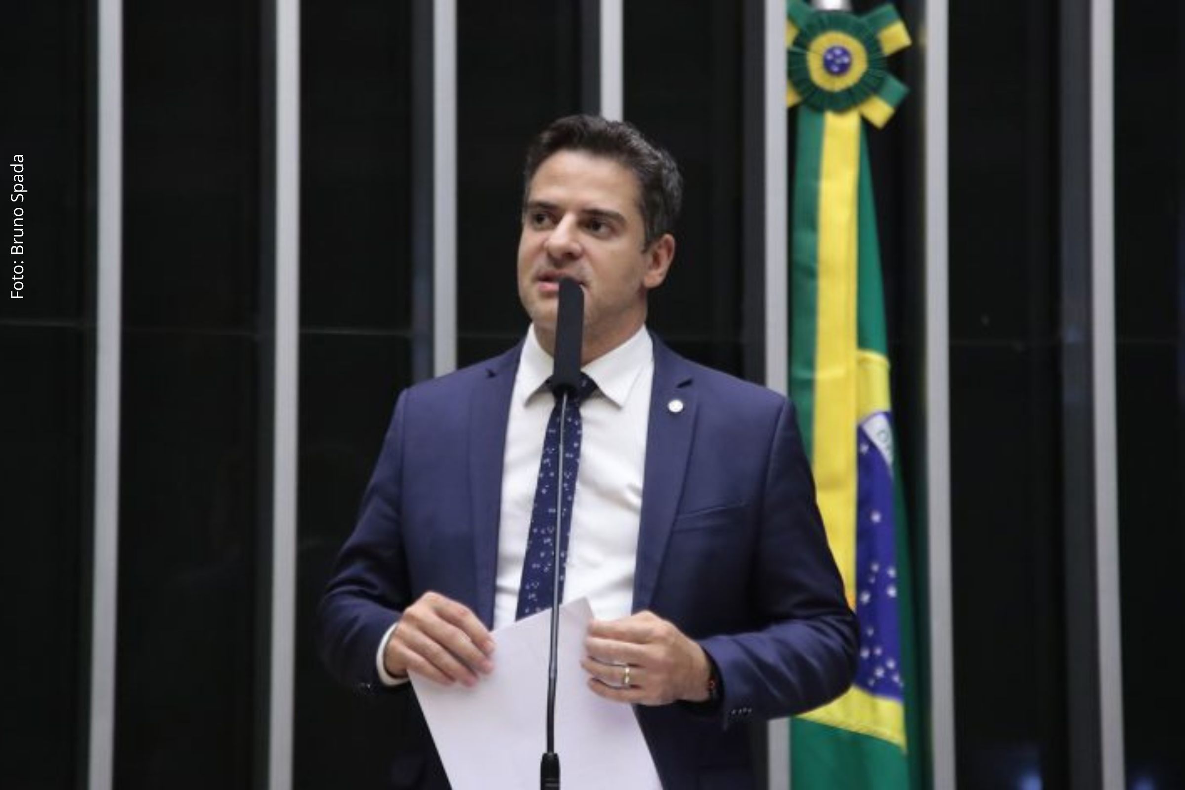 Nova lei prevê detenção e multa para atuação sem registro profissional, incluindo consequências para lesão ou morte de animais.