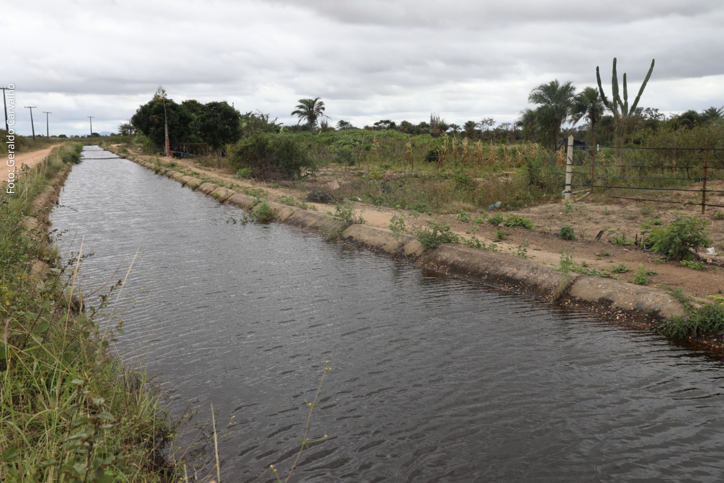 Investimento de R$ 30 milhões amplia produção agrícola, geração de renda e segurança alimentar para 60 famílias assentadas.