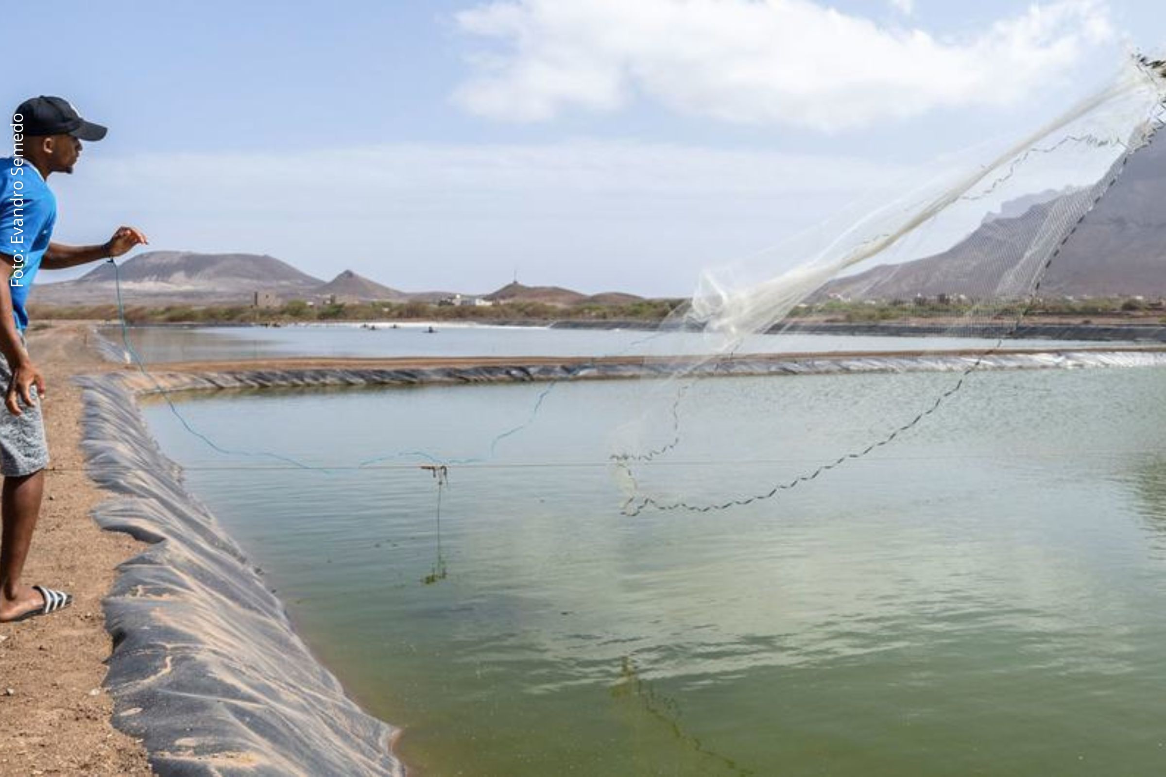 FAO celebra entrada em vigor de acordo internacional para proteção da pesca