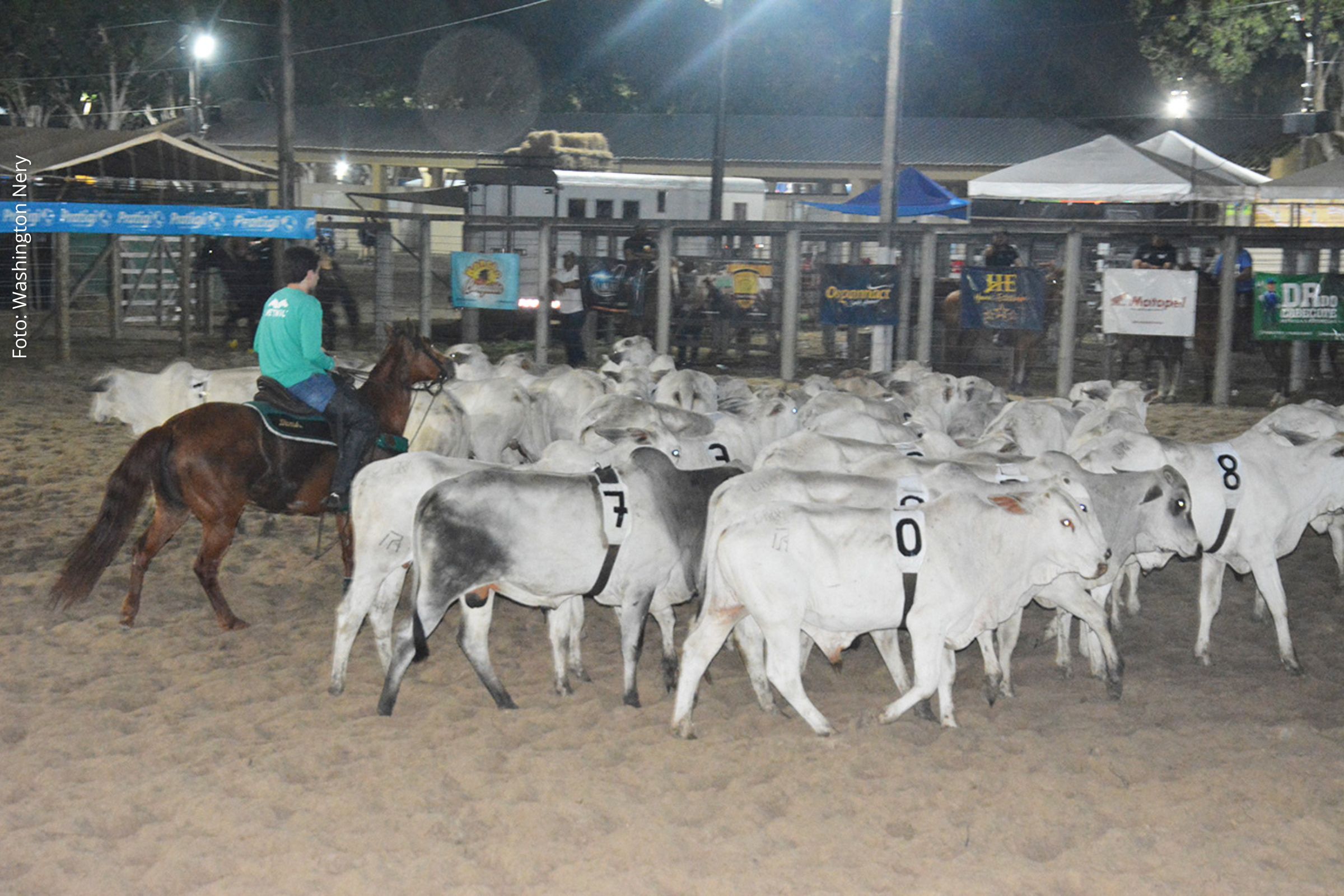 Expofeira 2025 movimenta público e agronegócio em Feira de Santana