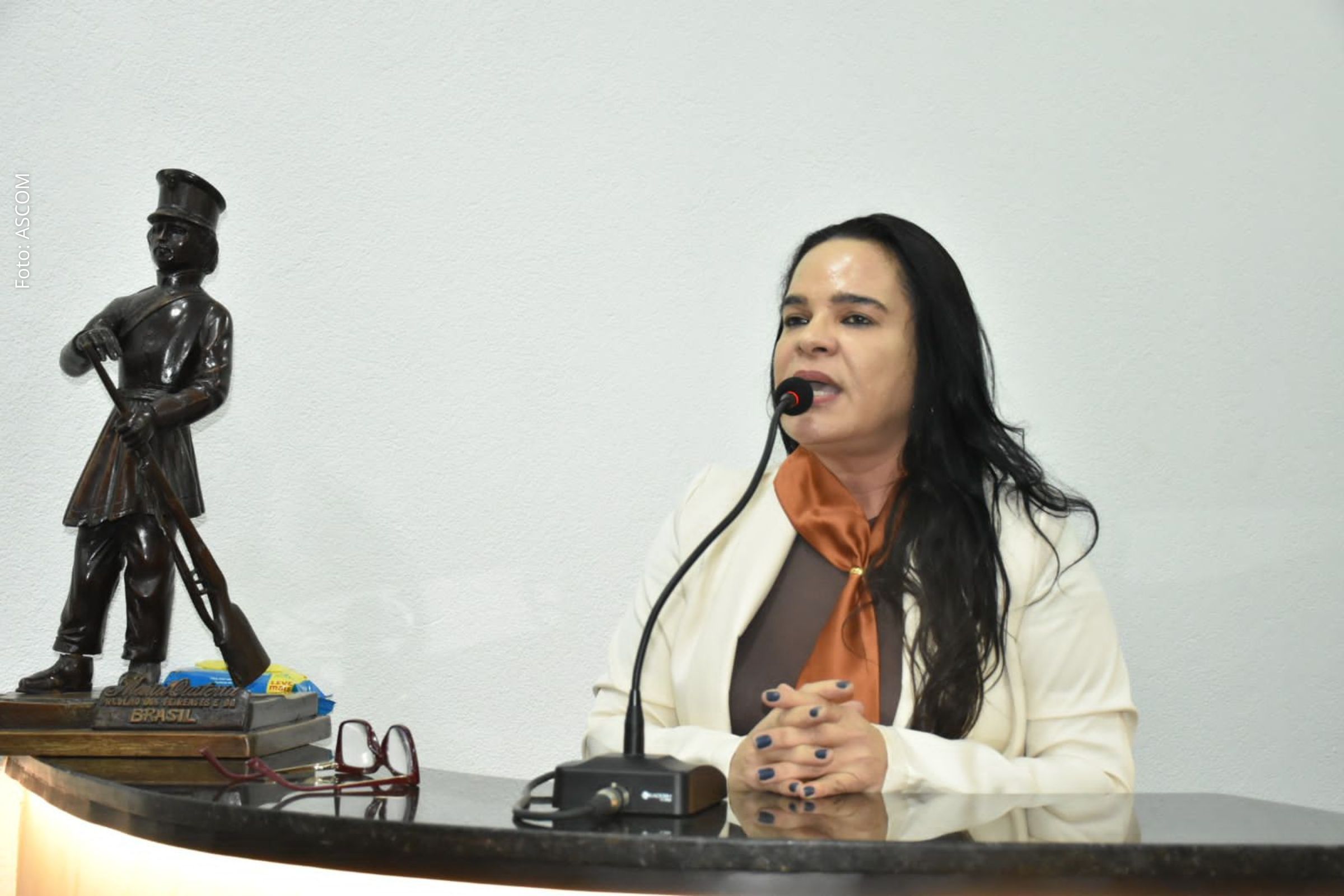 Vereadora solicita retorno de linhas de ônibus em bairros e distritos de Feira de Santana