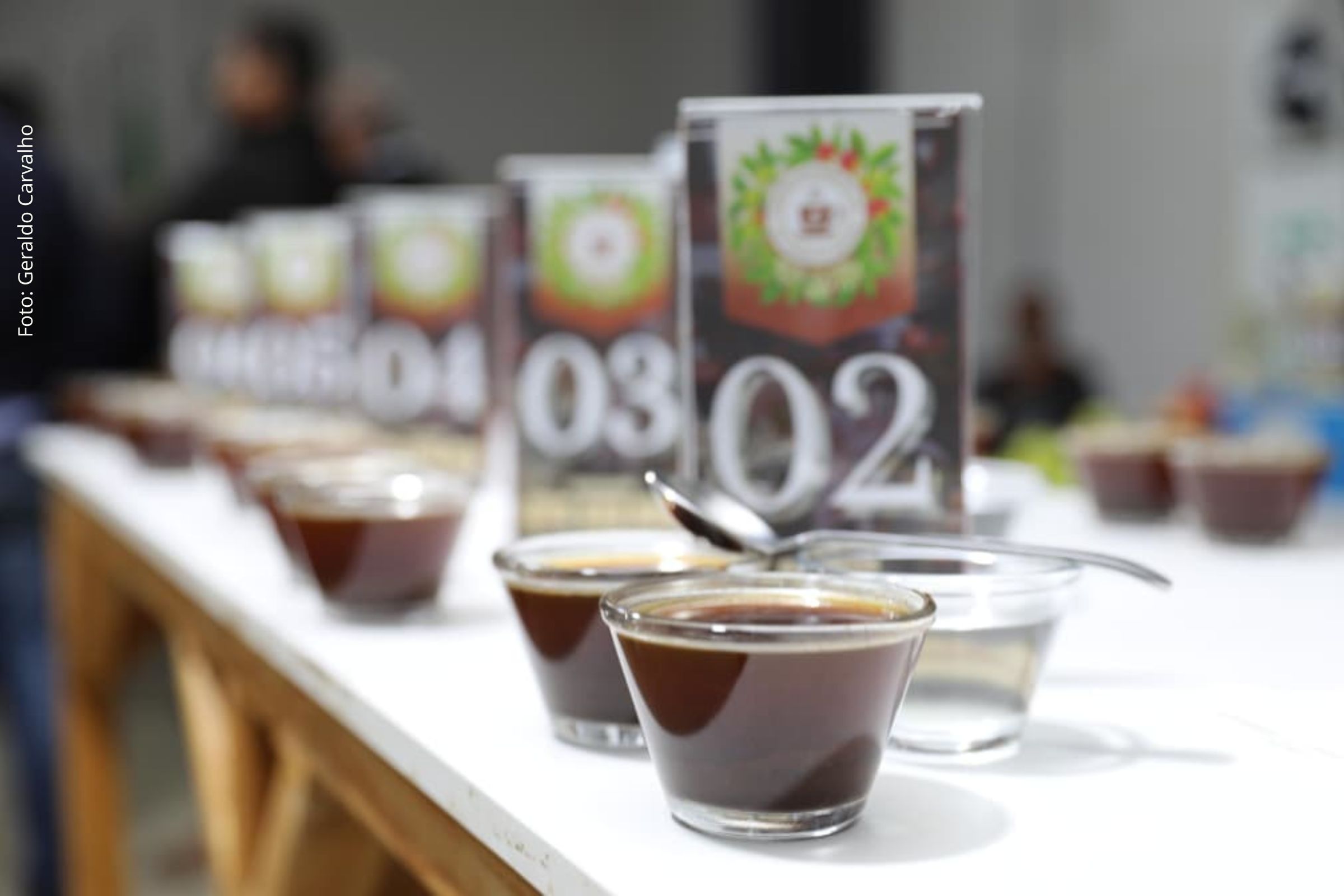 Barra do Choça recebe investimentos em agricultura familiar e fortalece produção de café e leite