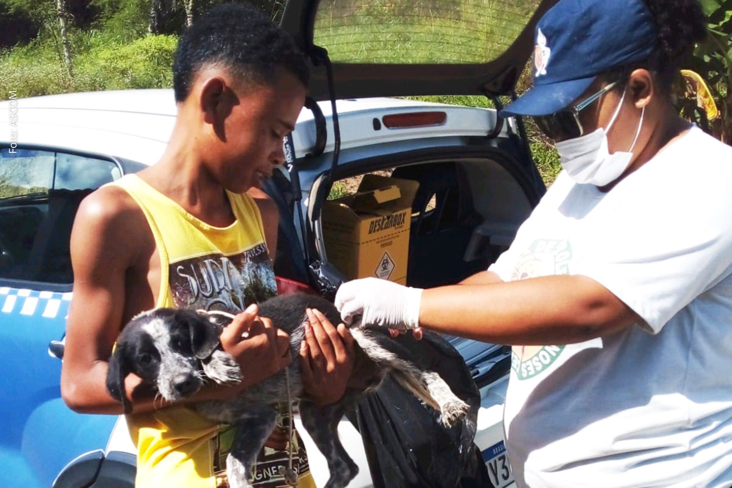 Ação da Secretaria Municipal de Saúde atinge cães e gatos, mas meta de imunização não é totalmente cumprida.