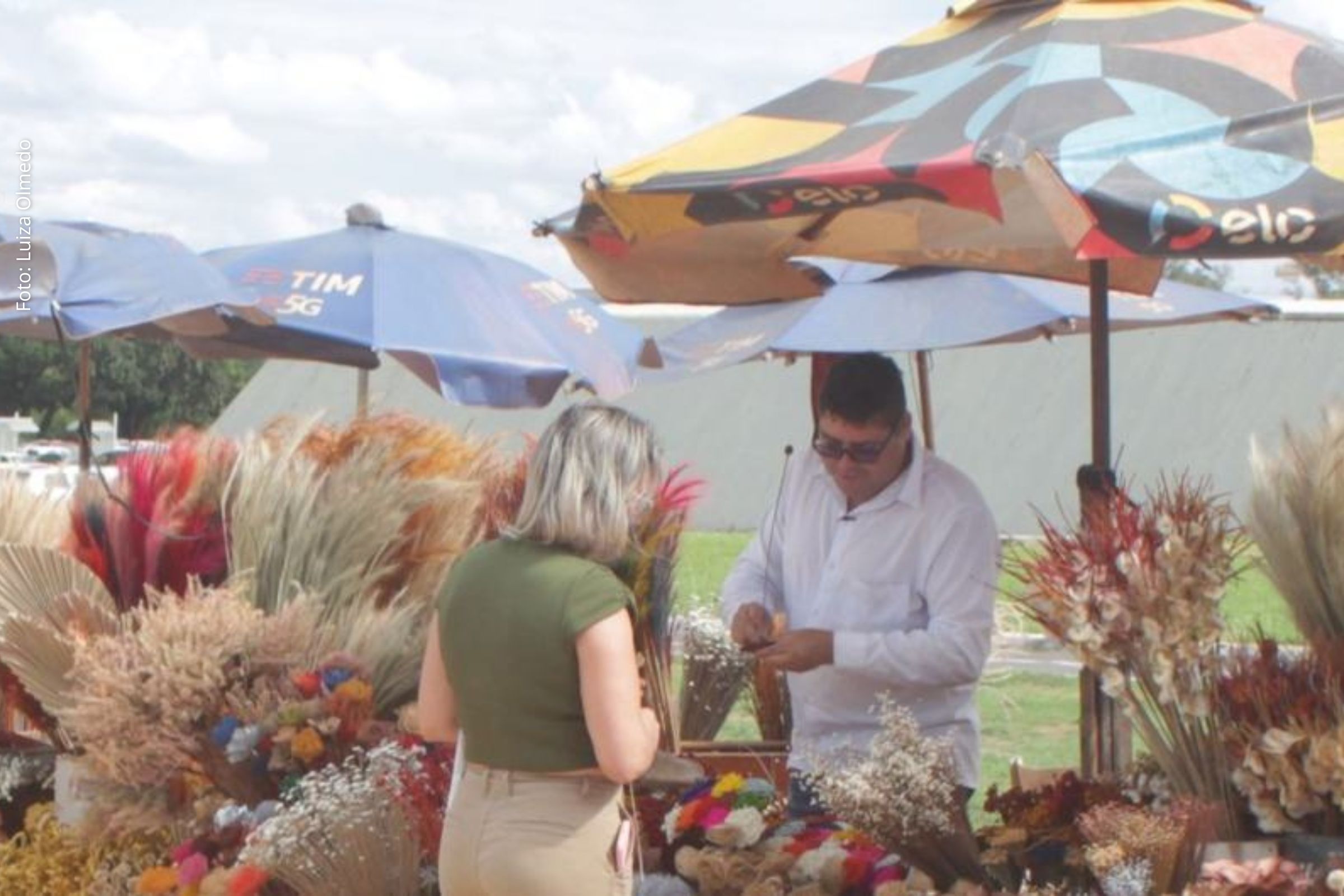 Relatório sobre perspectivas econômicas globais indica ritmo moderado para a América Latina e Brasil.