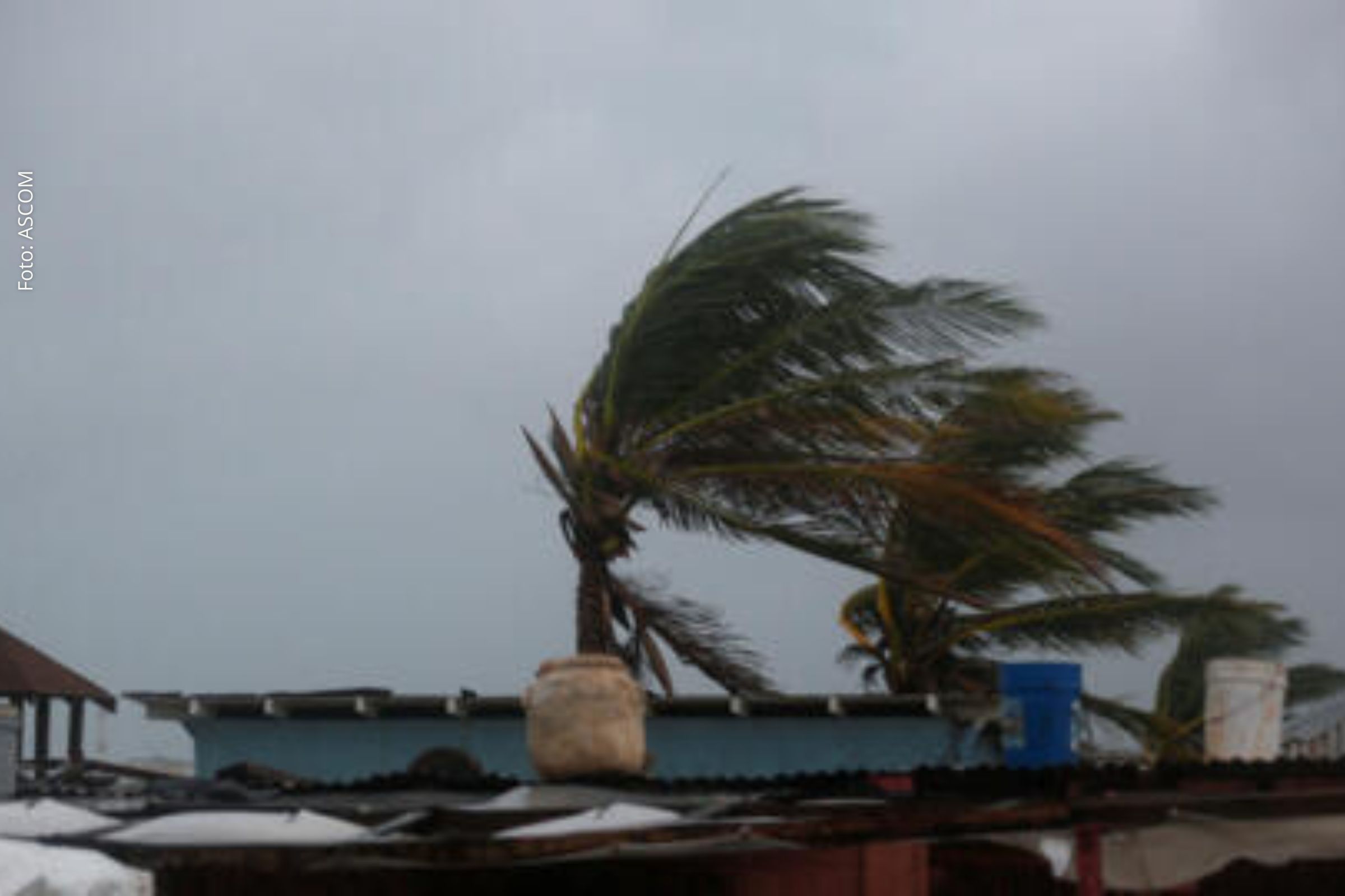 Furacão Melissa ameaça 1,5 milhão de pessoas na Jamaica e pode causar impactos severos no Caribe, alerta Cruz Vermelha