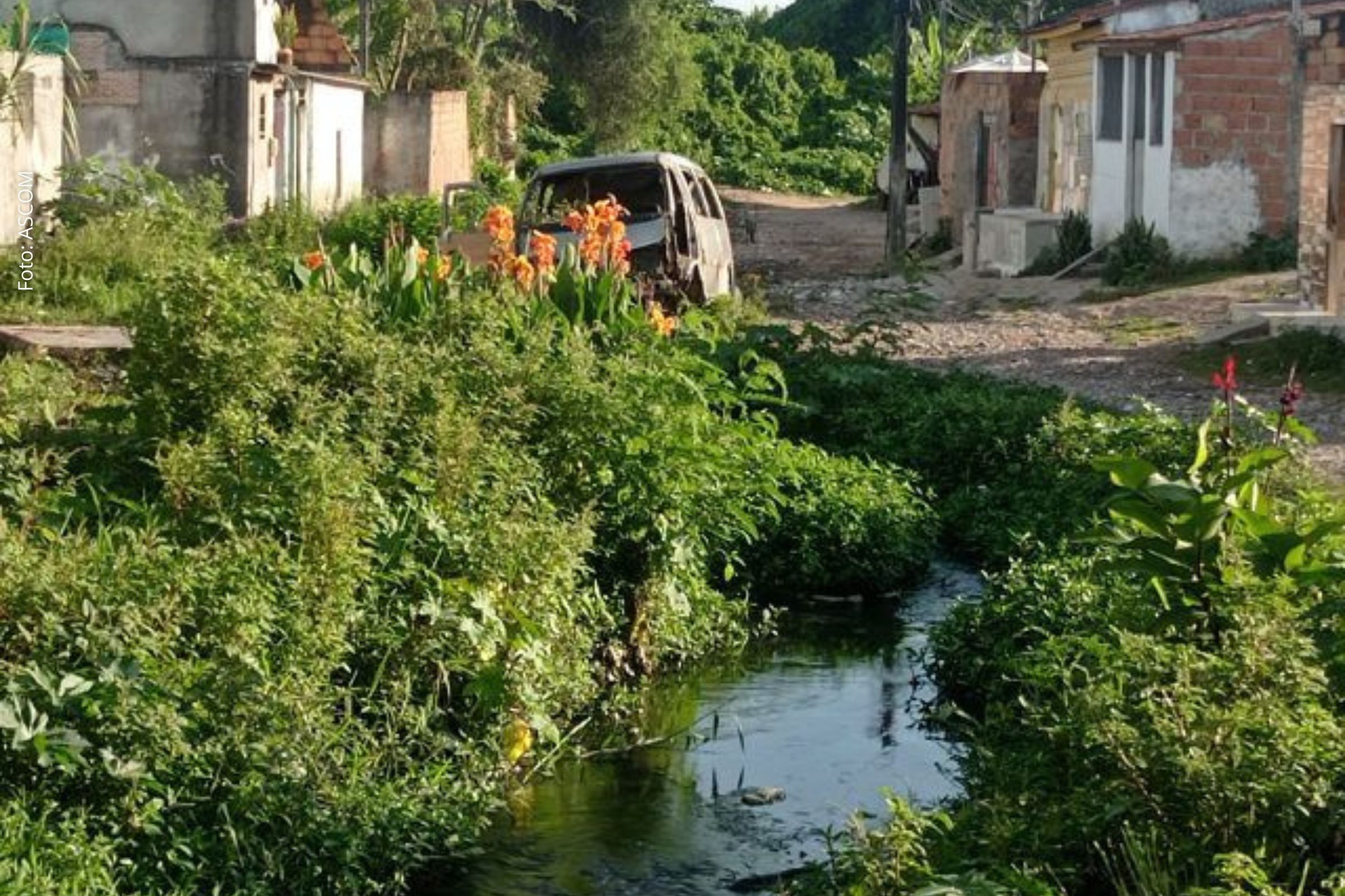 Requerimentos foram aprovados pela Câmara Municipal e encaminhados à Embasa e ao prefeito José Ronaldo.