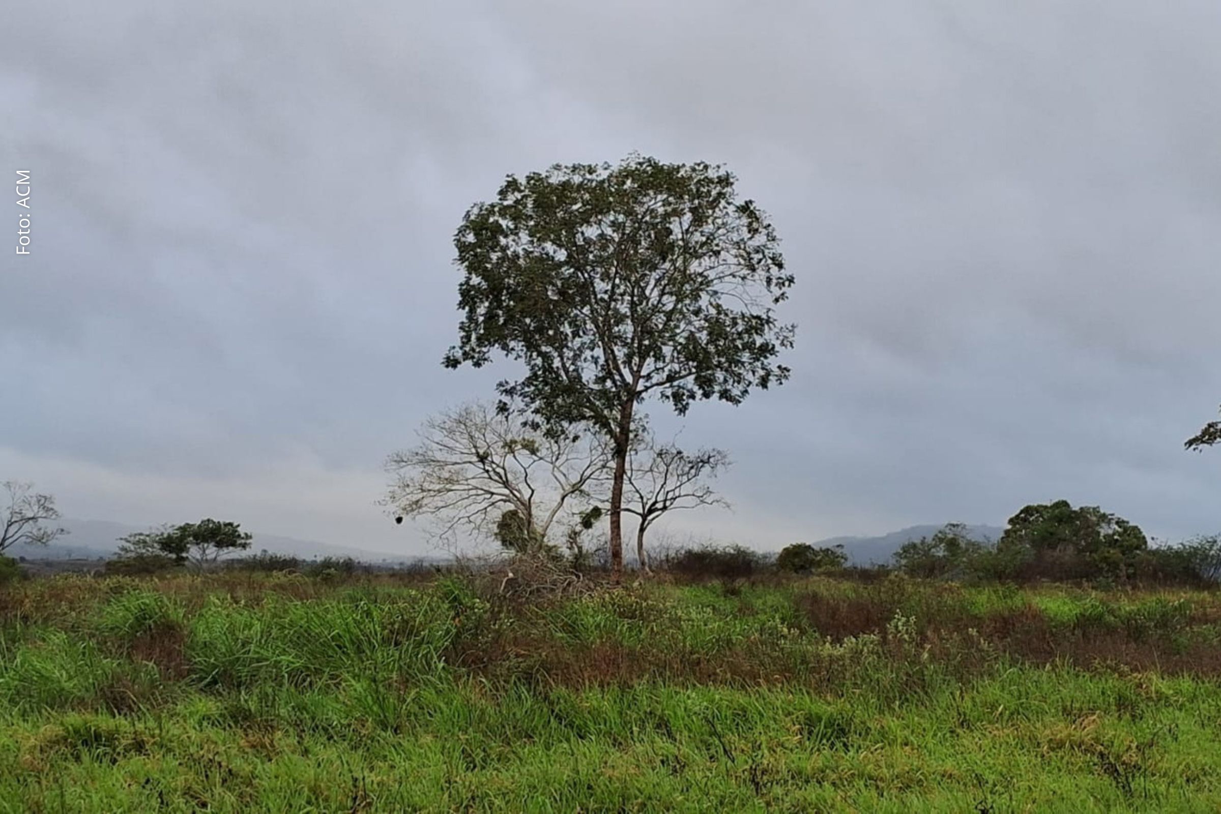 Temperaturas variam entre 19ºC e 27ºC, com umidade alta e recomendações para proteção contra frio e chuva.