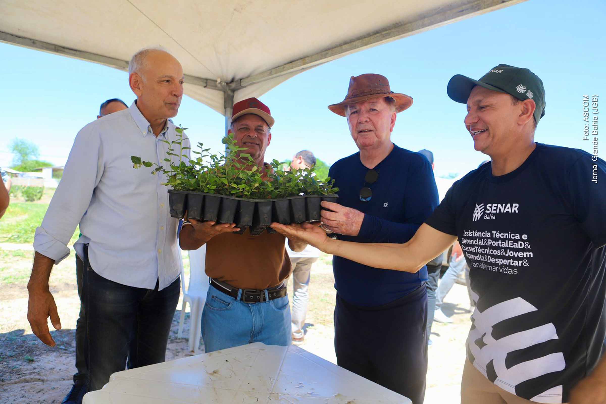 Distribuição de 71 mil mudas de mirtilo reforça parceria entre o deputado João Leão e o Sindicato dos Produtores Rurais de Barra