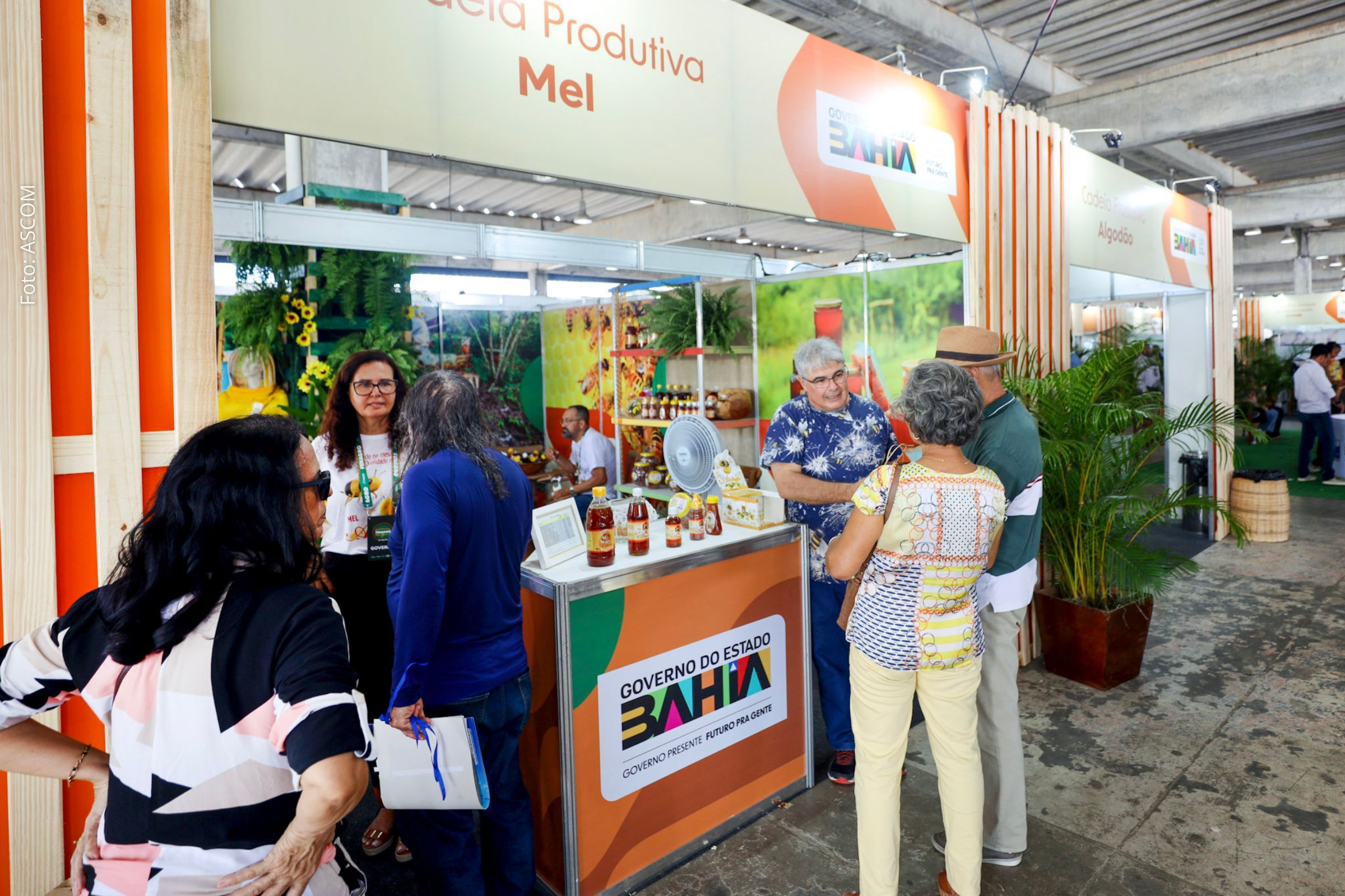 Evento reunirá produtores, expositores e público urbano no Parque de Exposições de Salvador.