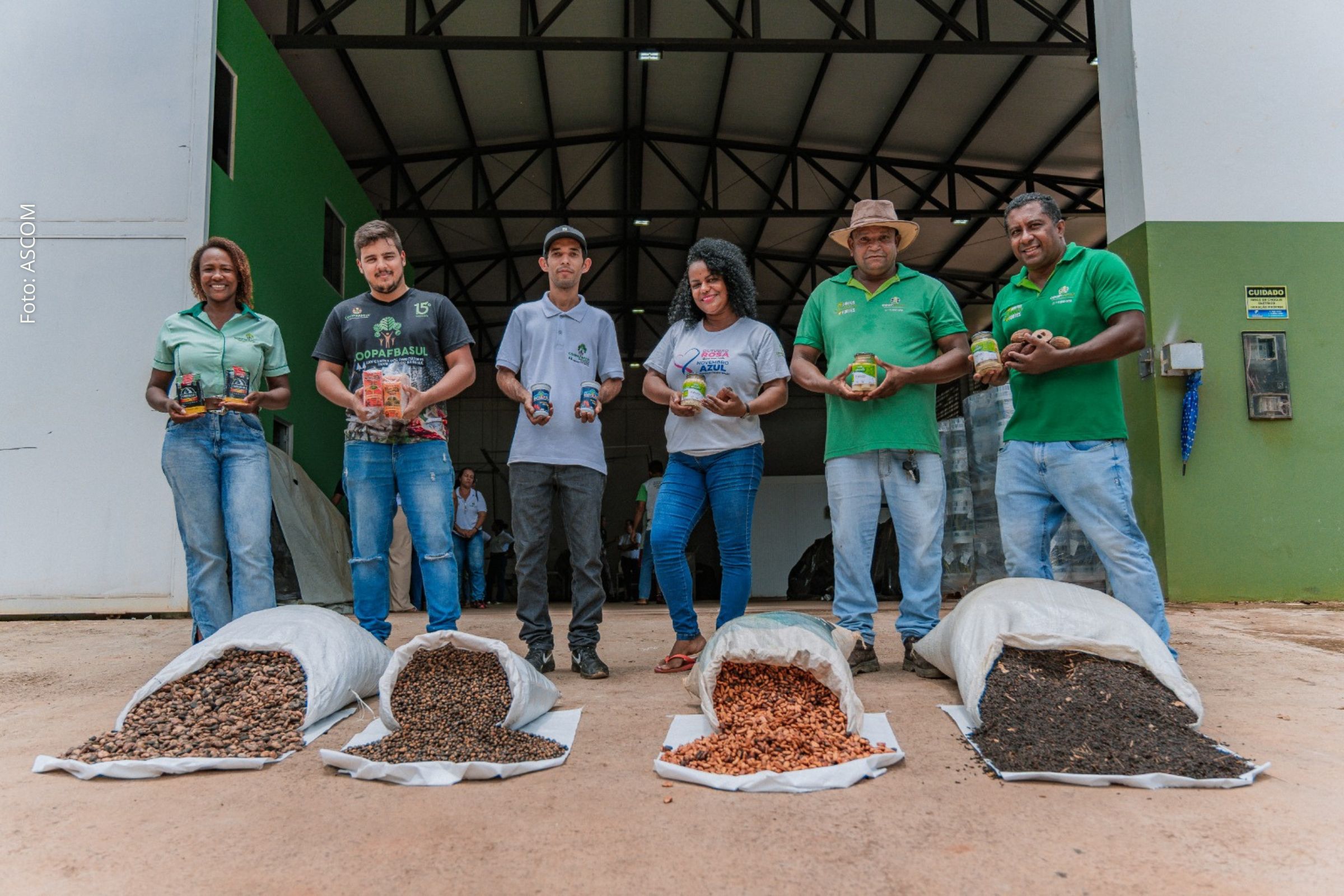 Agricultura familiar do Baixo Sul amplia renda com investimentos estaduais e exportação de coco de piaçava