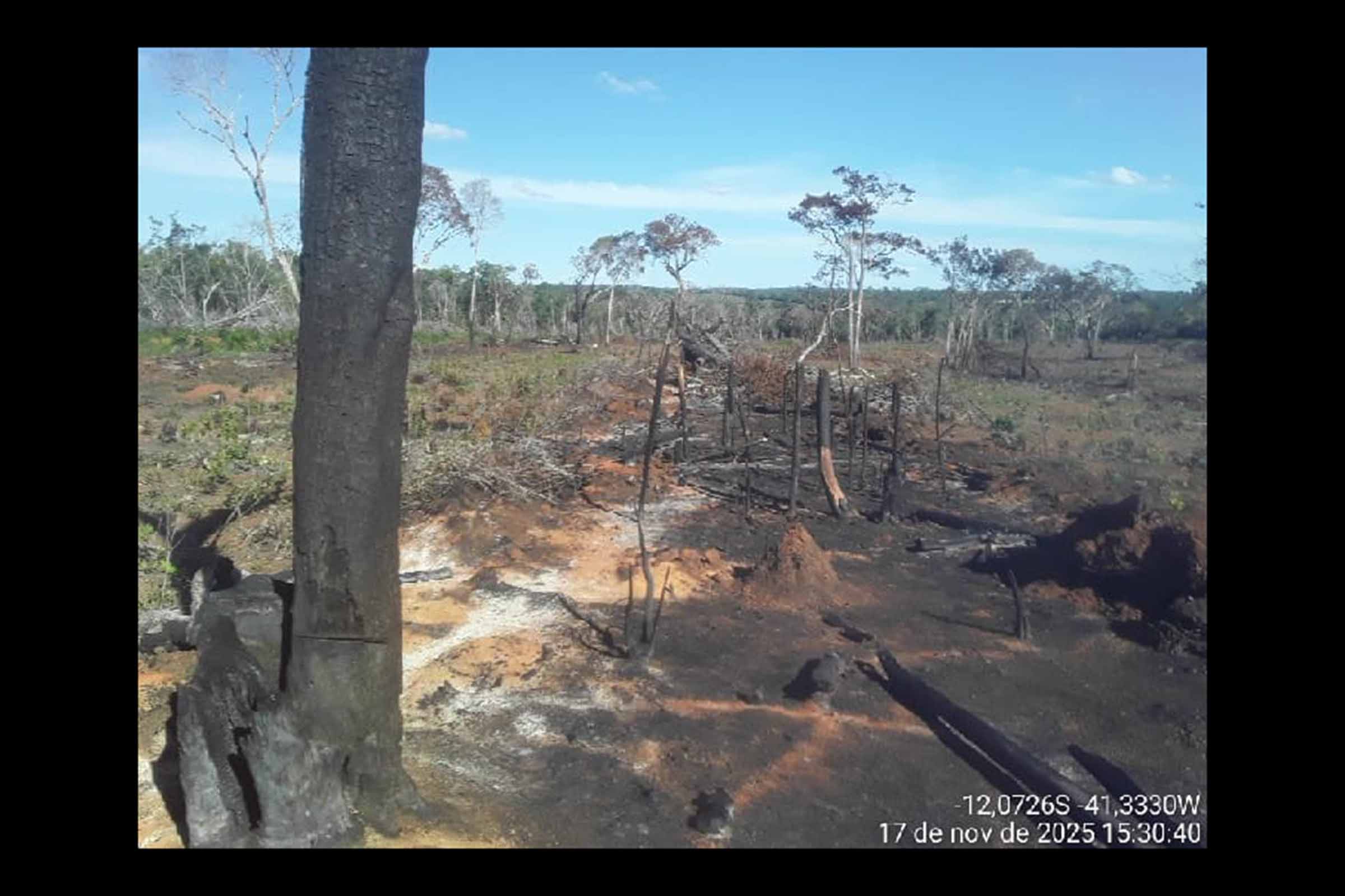 Operação Mata Branca intensifica combate ao desmatamento na Sub-bacia do Rio Utinga e resulta em autos de infração em área crítica da Chapada Diamantina