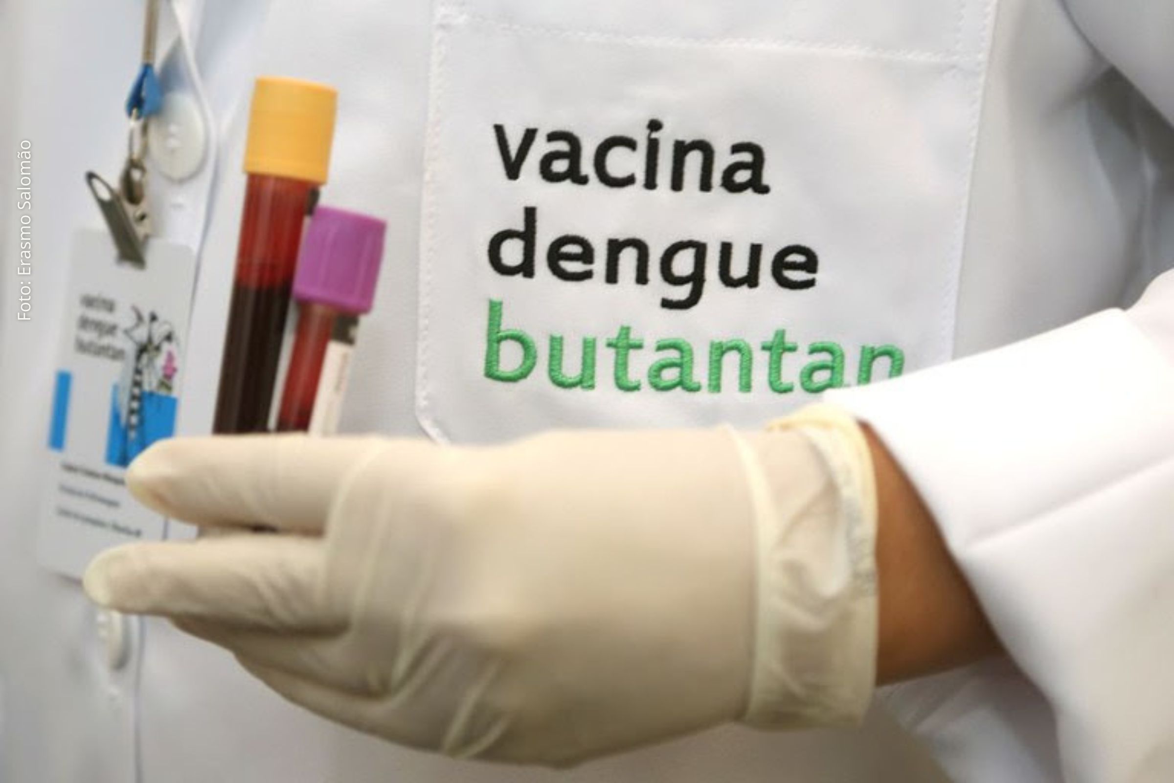 Vacina nacional contra a dengue aprovada pela Anvisa será distribuída pelo SUS a partir de 2026