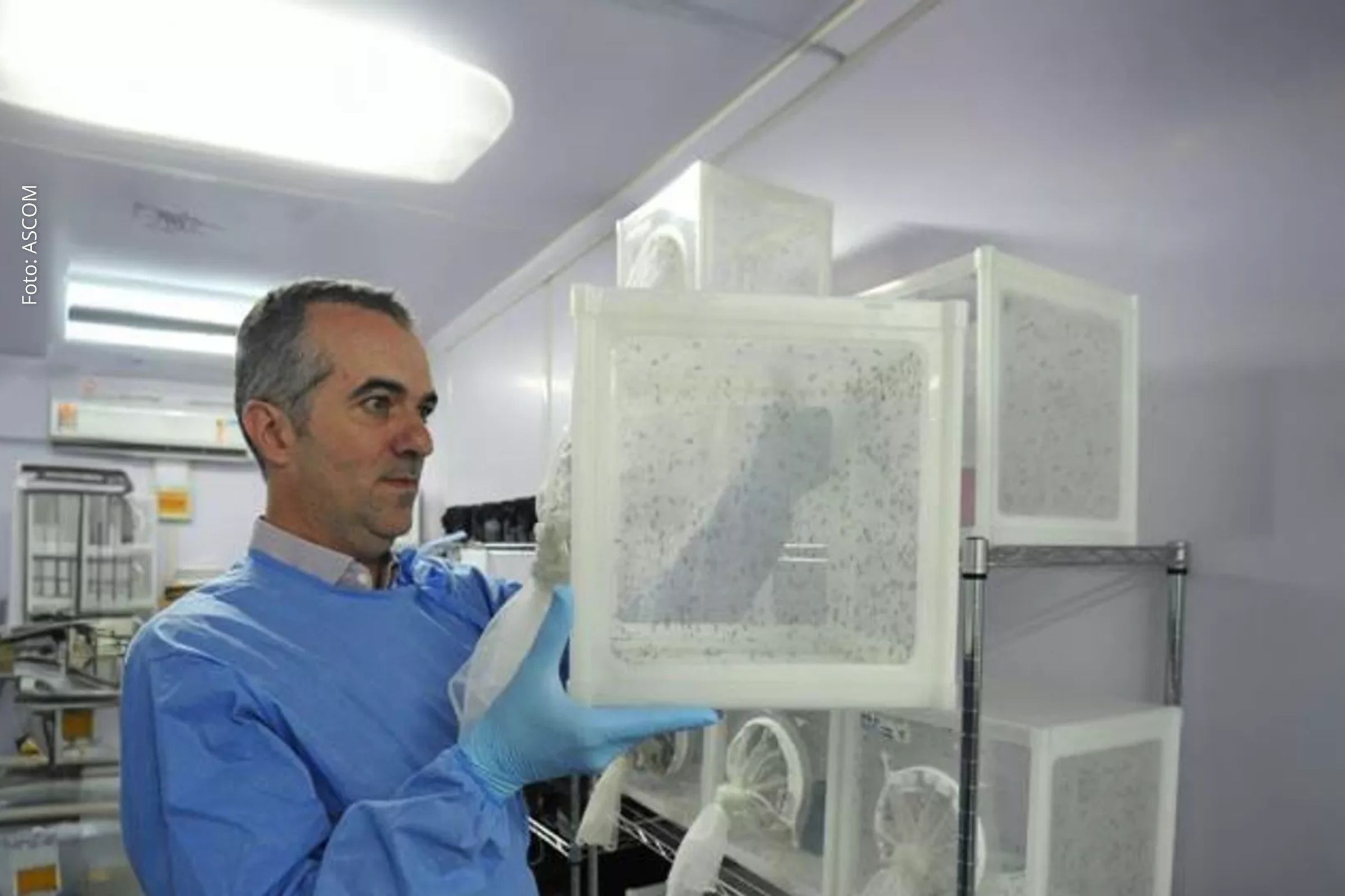 Luciano Moreira é reconhecido internacionalmente por avanços no controle de doenças transmitidas pelo Aedes aegypti.