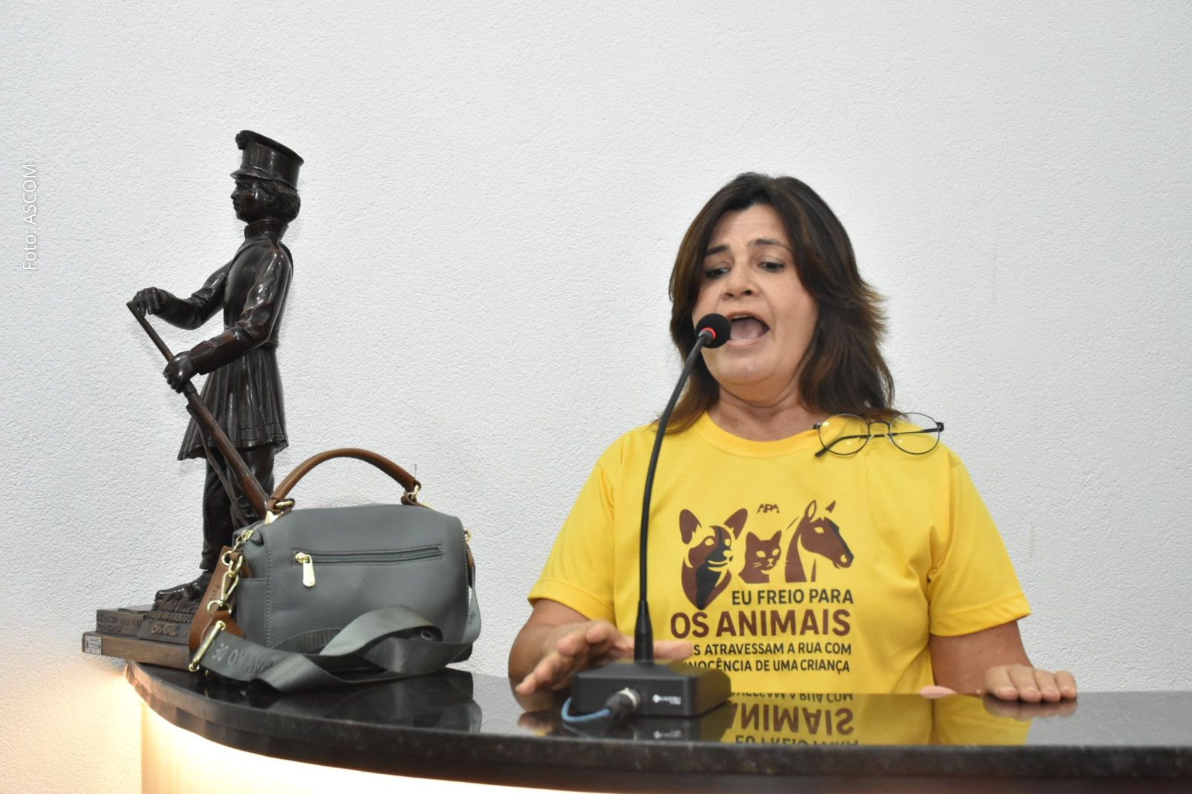 Negligência à causa animal pode gerar risco à saúde pública em Feira de Santana, alerta associação