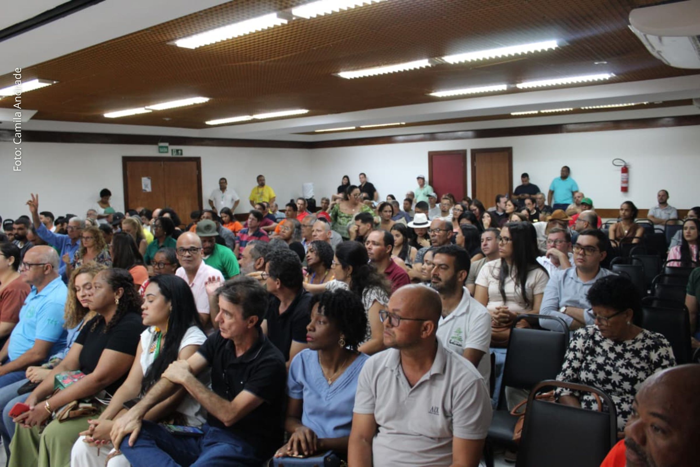 Edital Galinha Caipira da Bahia destina R$ 24 milhões para produção, certificação e comercialização de ovos na agricultura familiar