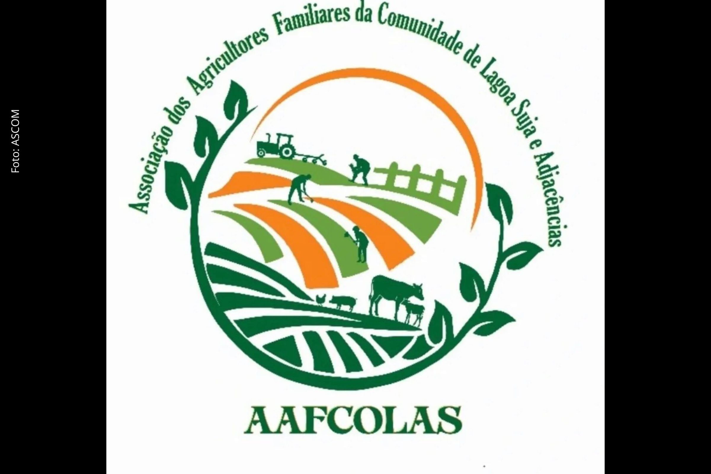 Associação de Agricultores Familiares de Lagoa Suja é reconhecida como utilidade pública em Feira de Santana após sanção de lei municipal